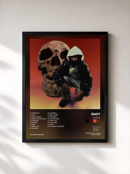 #noir Tableau de l'album Viceroy de $Not, cadre noir, imprimé et encadré en France