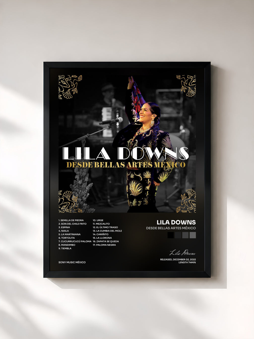 #noir Tableau de l'album Desde Bellas Artes México de Lila Downs, cadre noir, imprimé et encadré en France
