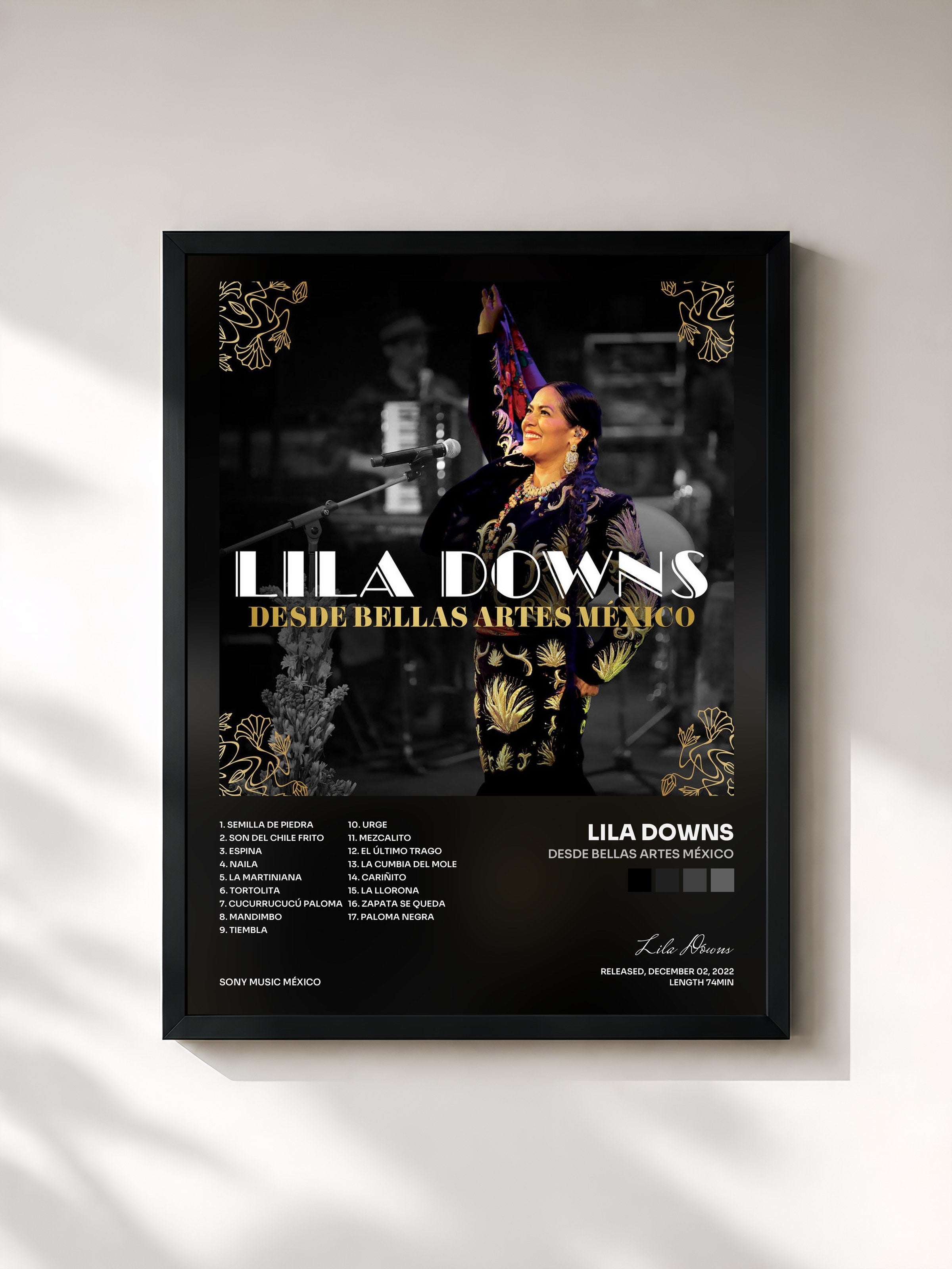#noir Tableau de l'album Desde Bellas Artes México de Lila Downs, cadre noir, imprimé et encadré en France