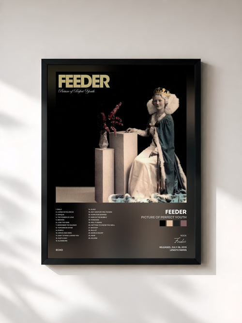 Feeder · Picture of Perfect Youth — Affiche encadrée