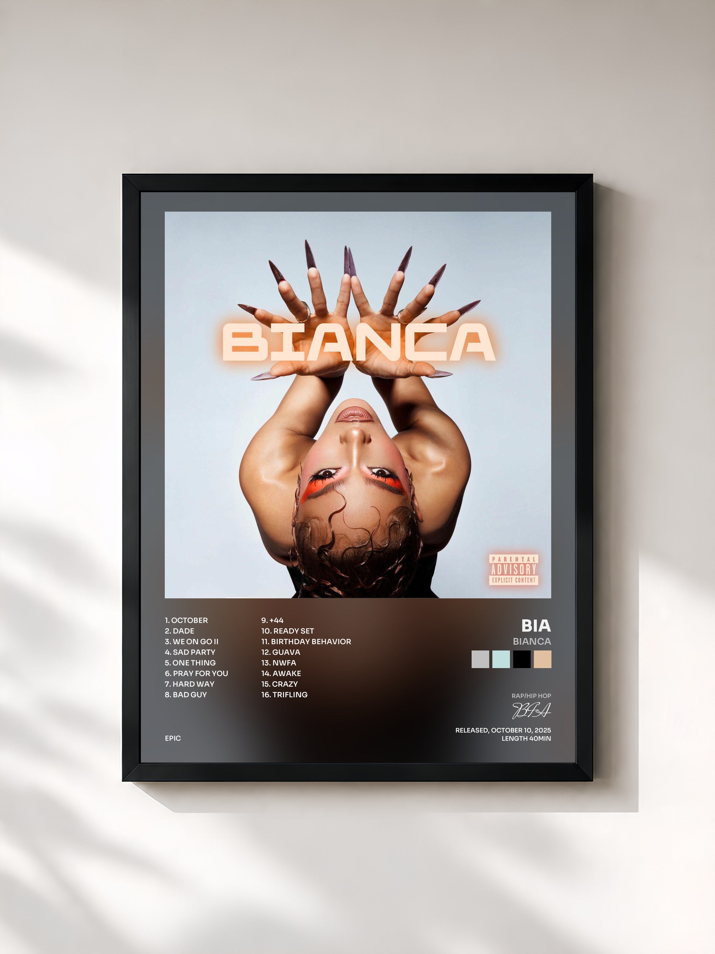 #noir Tableau de l'album BIANCA de BIA, cadre noir, imprimé et encadré en France