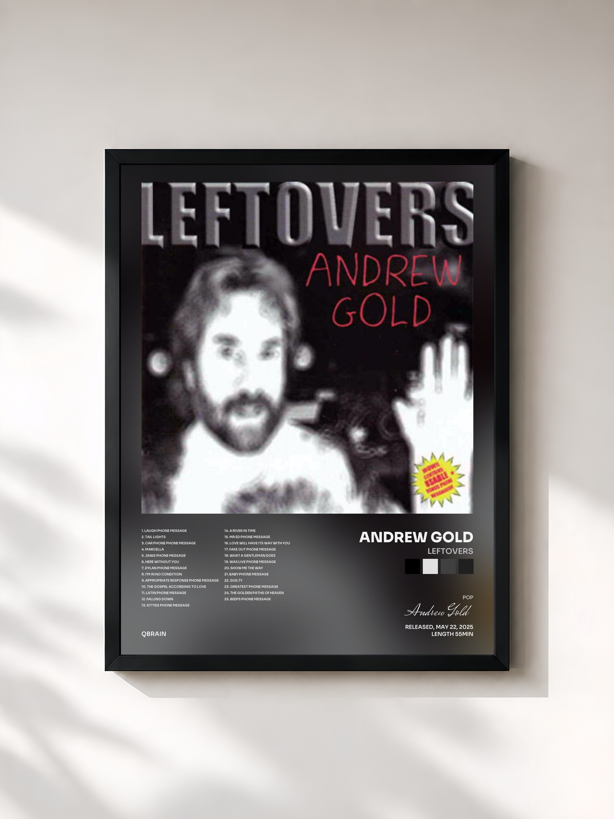 #noir Tableau de l'album Leftovers de Andrew Gold, cadre noir, imprimé et encadré en France