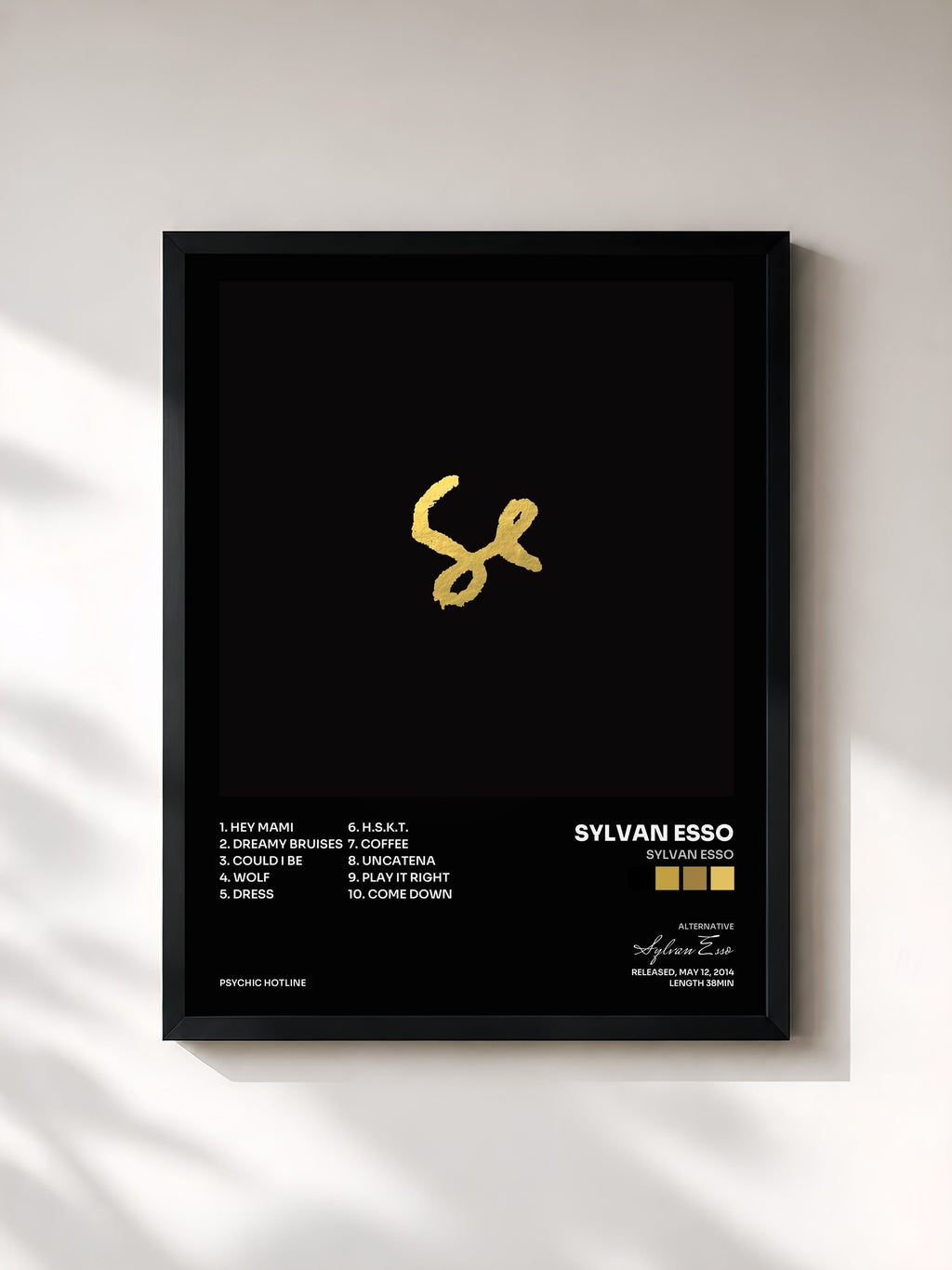 #noir Tableau de l'album Sylvan Esso de Sylvan Esso, cadre noir, imprimé et encadré en France