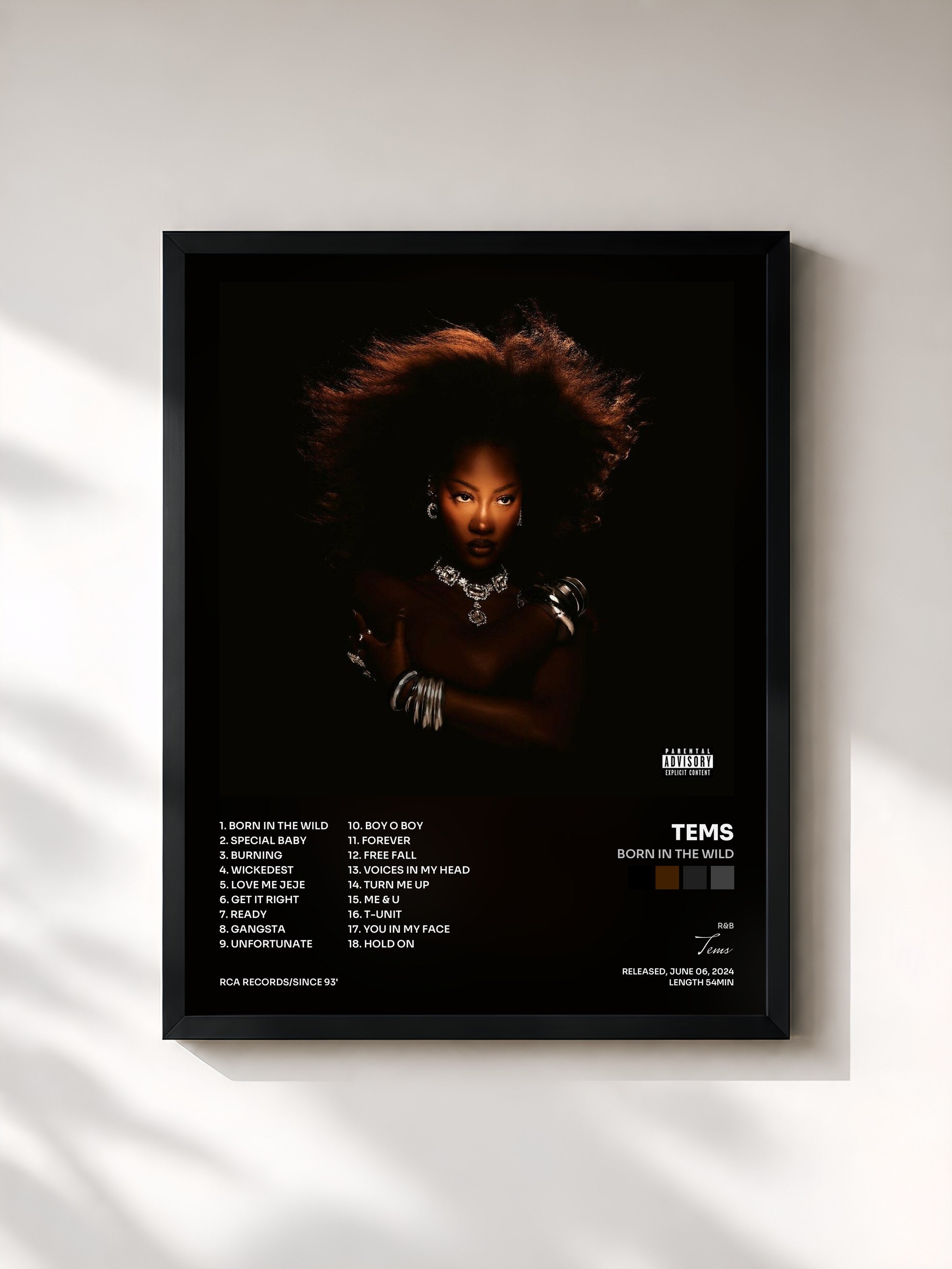 #noir Tableau de l'album Born in the Wild de Tems, cadre noir, imprimé et encadré en France