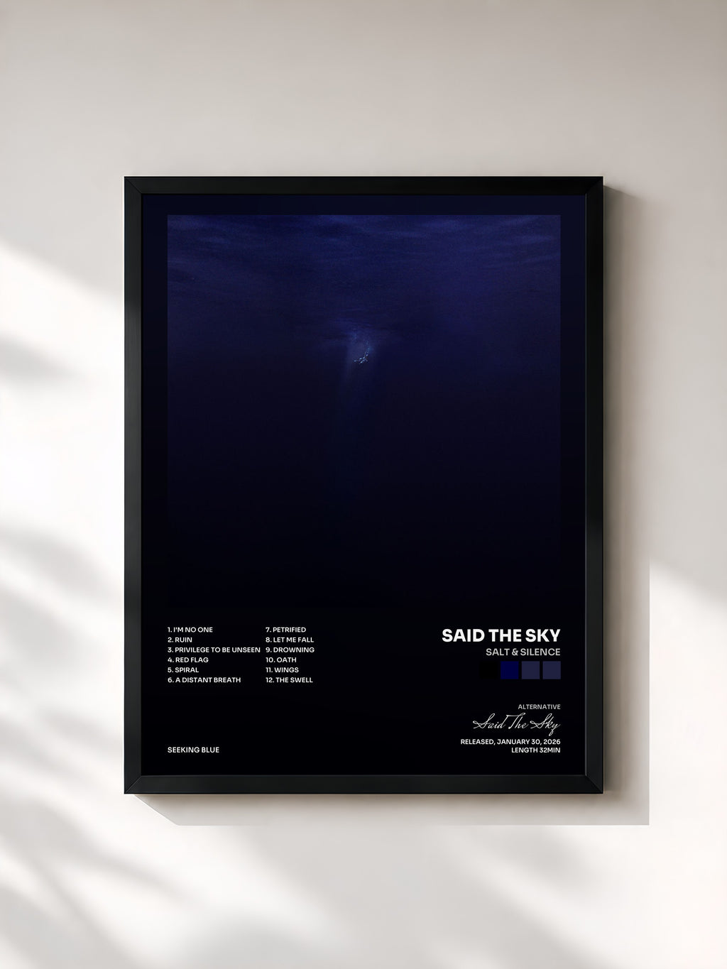 #noir Tableau de l'album Salt & Silence de Said The Sky, cadre noir, imprimé et encadré en France