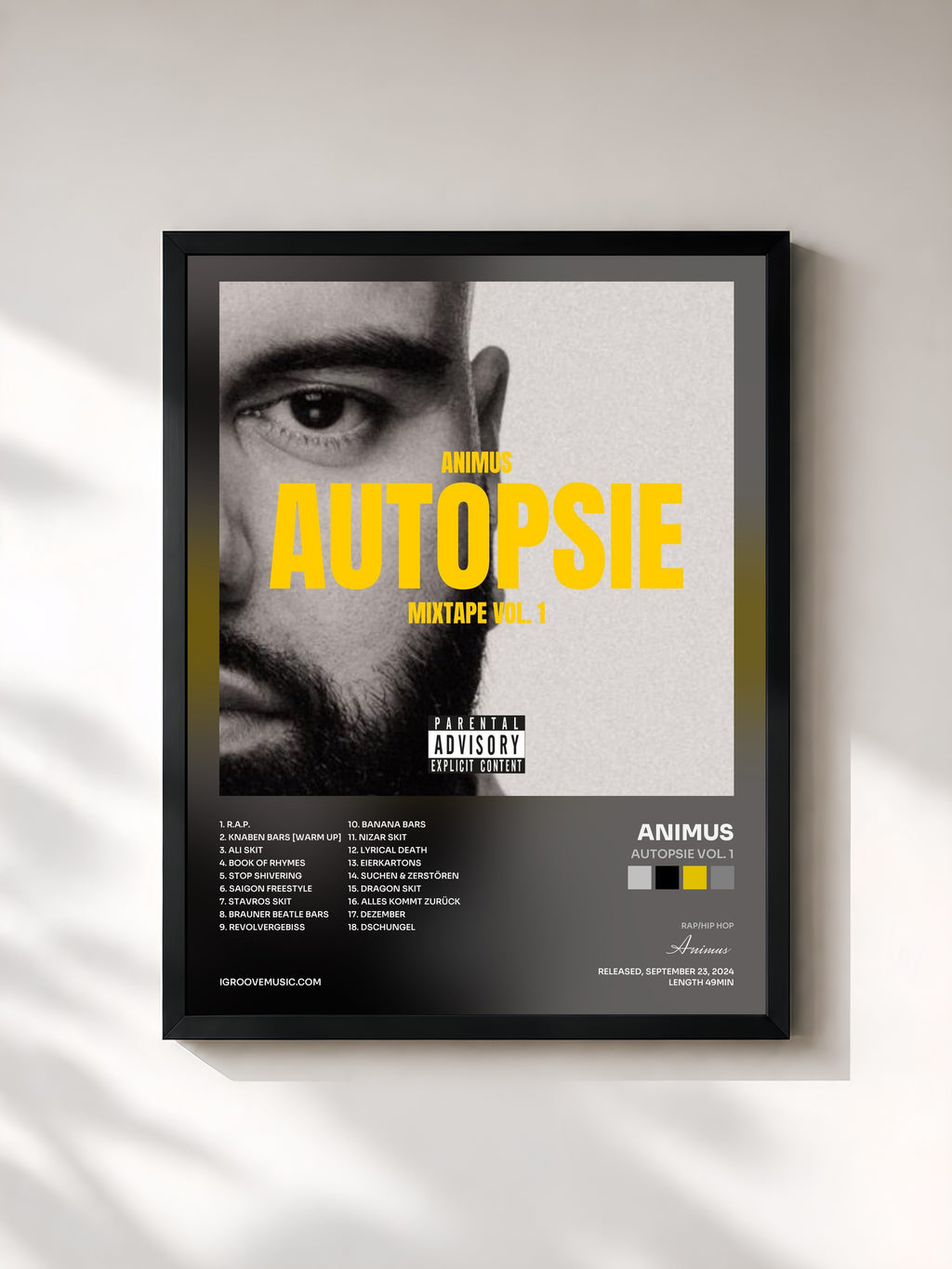 #noir Tableau de l'album Autopsie Vol. 1 de Animus, cadre noir, imprimé et encadré en France