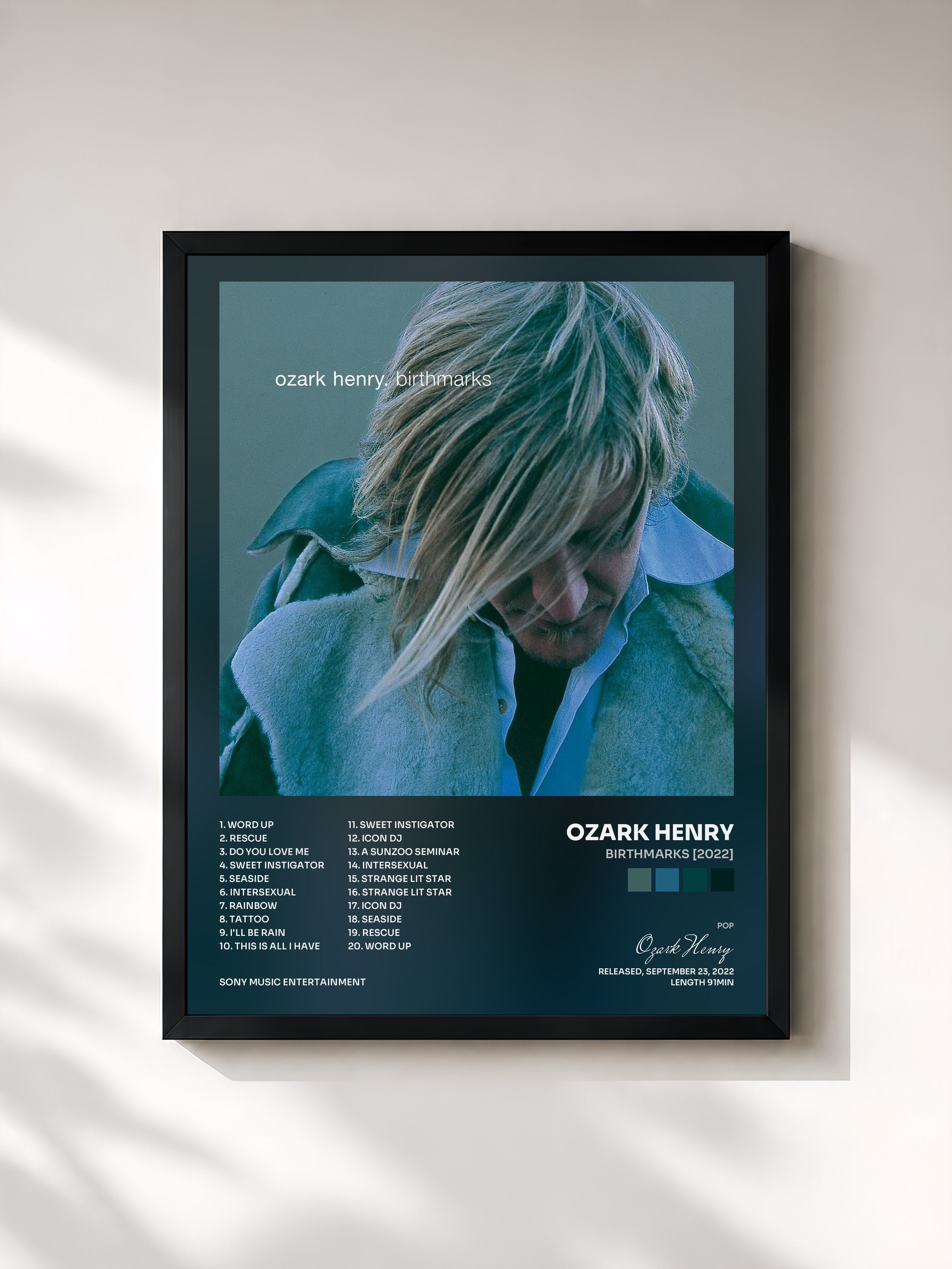 #noir Tableau de l'album Birthmarks [2022] de Ozark Henry, cadre noir, imprimé et encadré en France