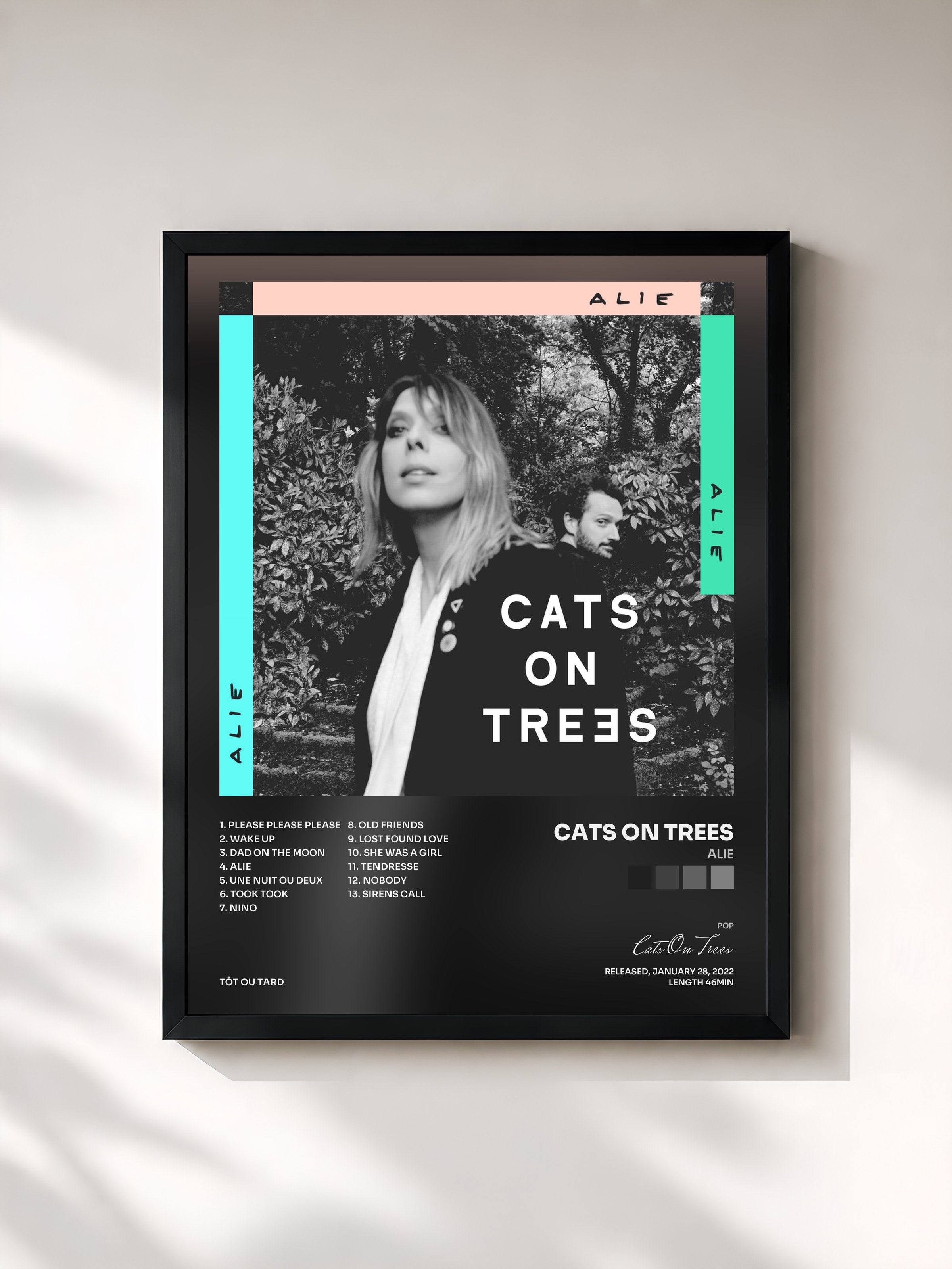 #noir Tableau de l'album Alie de Cats On Trees, cadre noir, imprimé et encadré en France