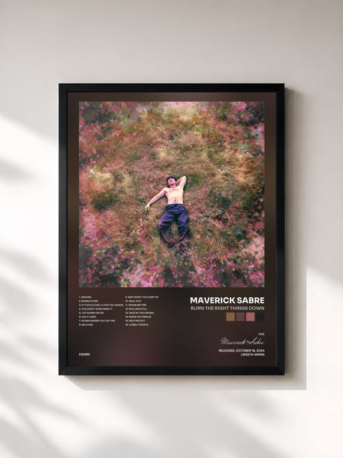 Maverick Sabre · Burn The Right Things Down — Affiche encadrée