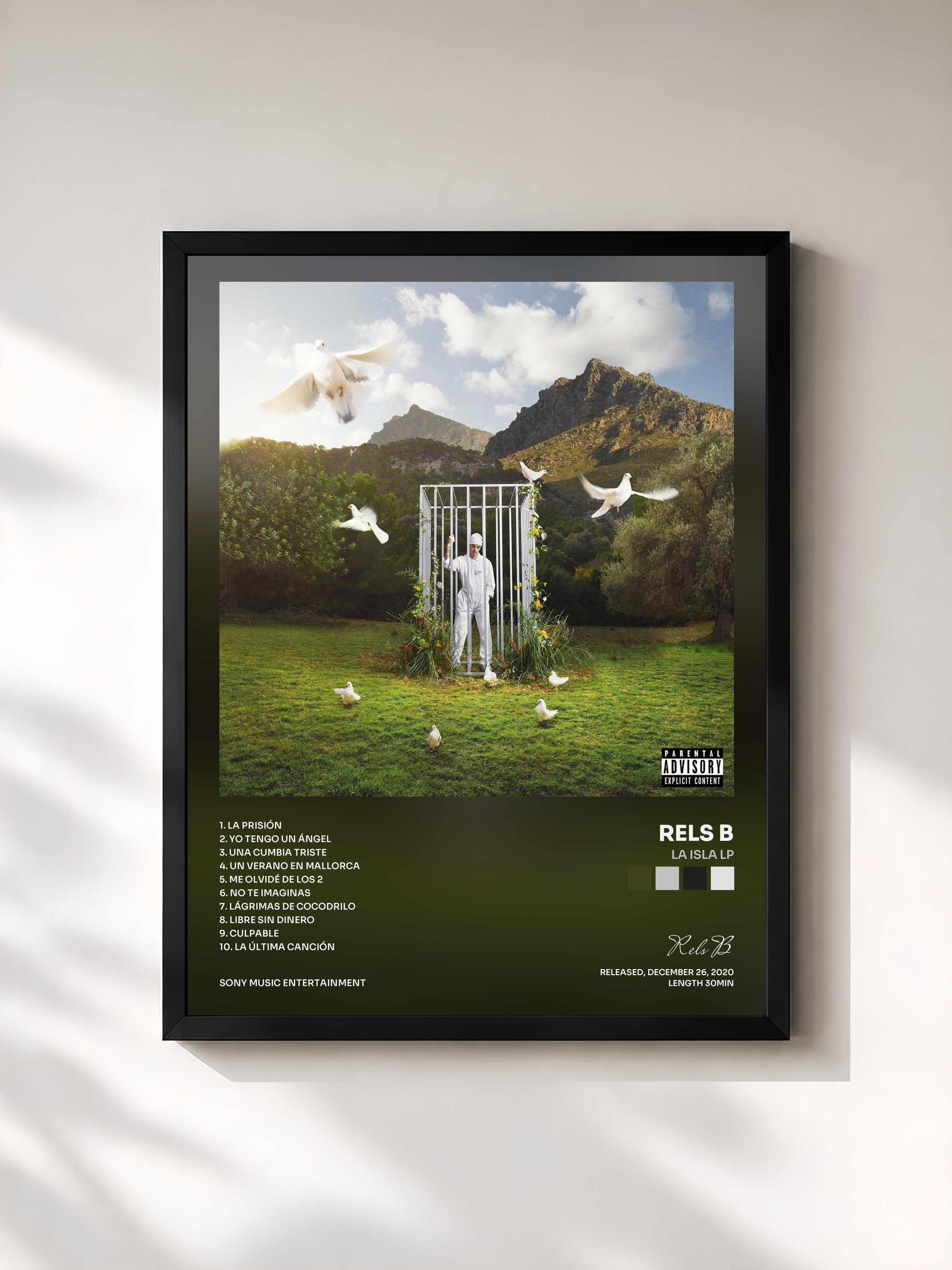 #noir Tableau de l'album LA ISLA LP de Rels B, cadre noir, imprimé et encadré en France