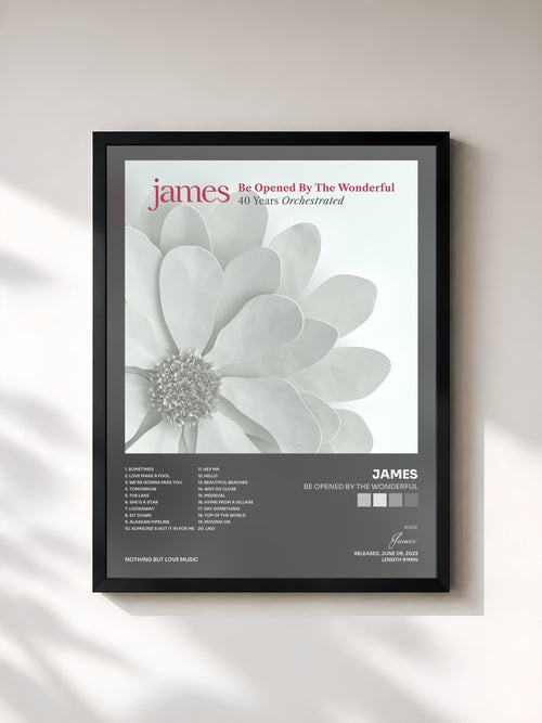 James · Be Opened By The Wonderful — Affiche encadrée
