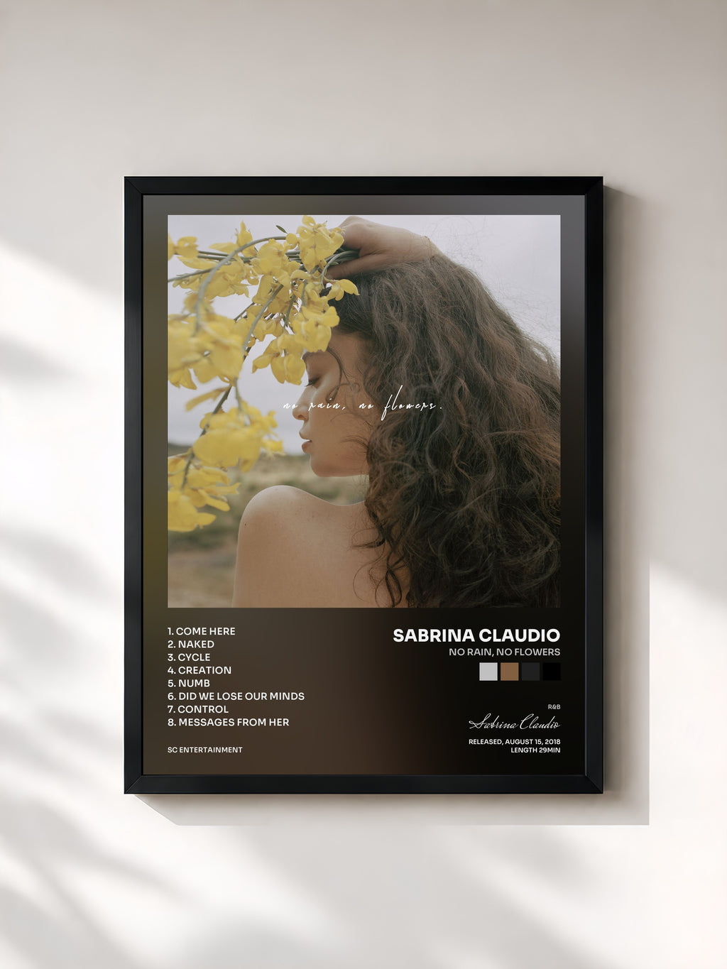 #noir Tableau de l'album No Rain, No Flowers de Sabrina Claudio, cadre noir, imprimé et encadré en France