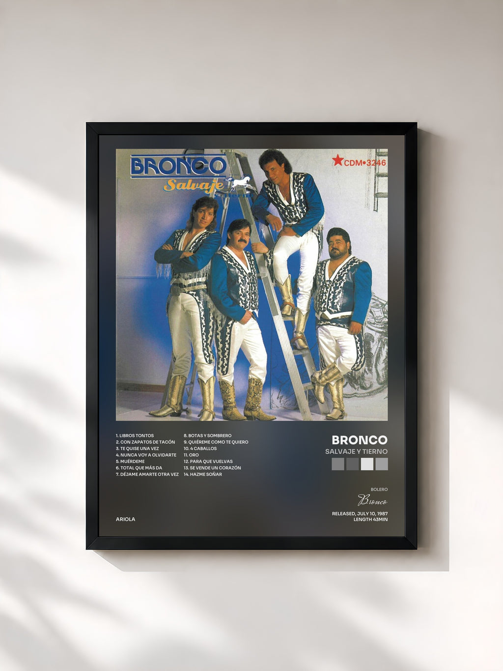 #noir Tableau de l'album Salvaje y Tierno de Bronco, cadre noir, imprimé et encadré en France