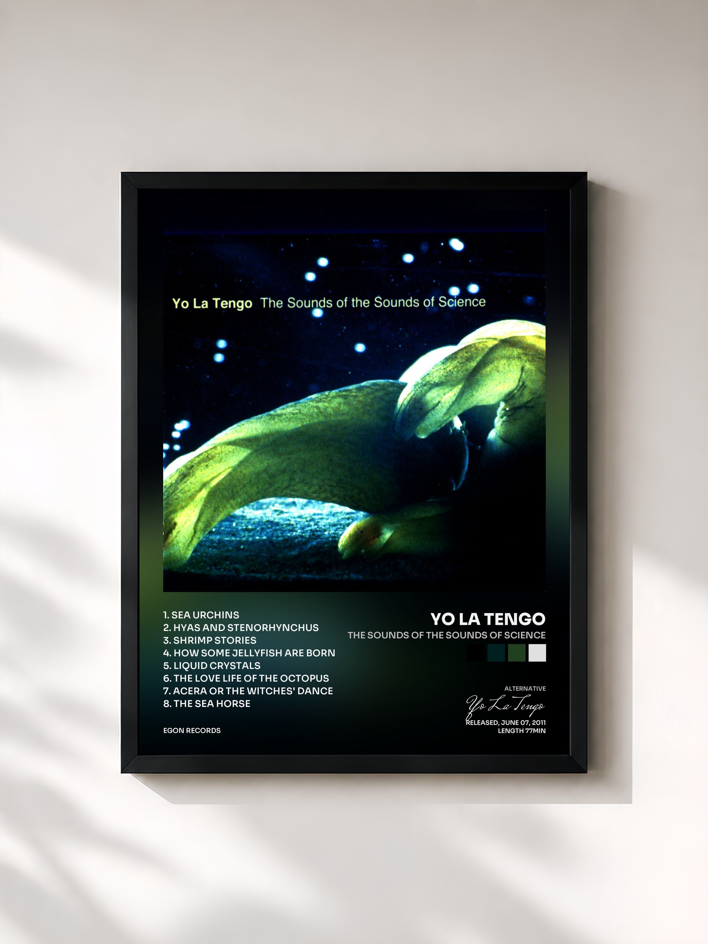 #noir Tableau de l'album The Sounds of the Sounds of Science de Yo La Tengo, cadre noir, imprimé et encadré en France