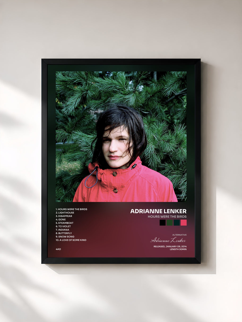 #noir Tableau de l'album Hours Were the Birds de Adrianne Lenker, cadre noir, imprimé et encadré en France