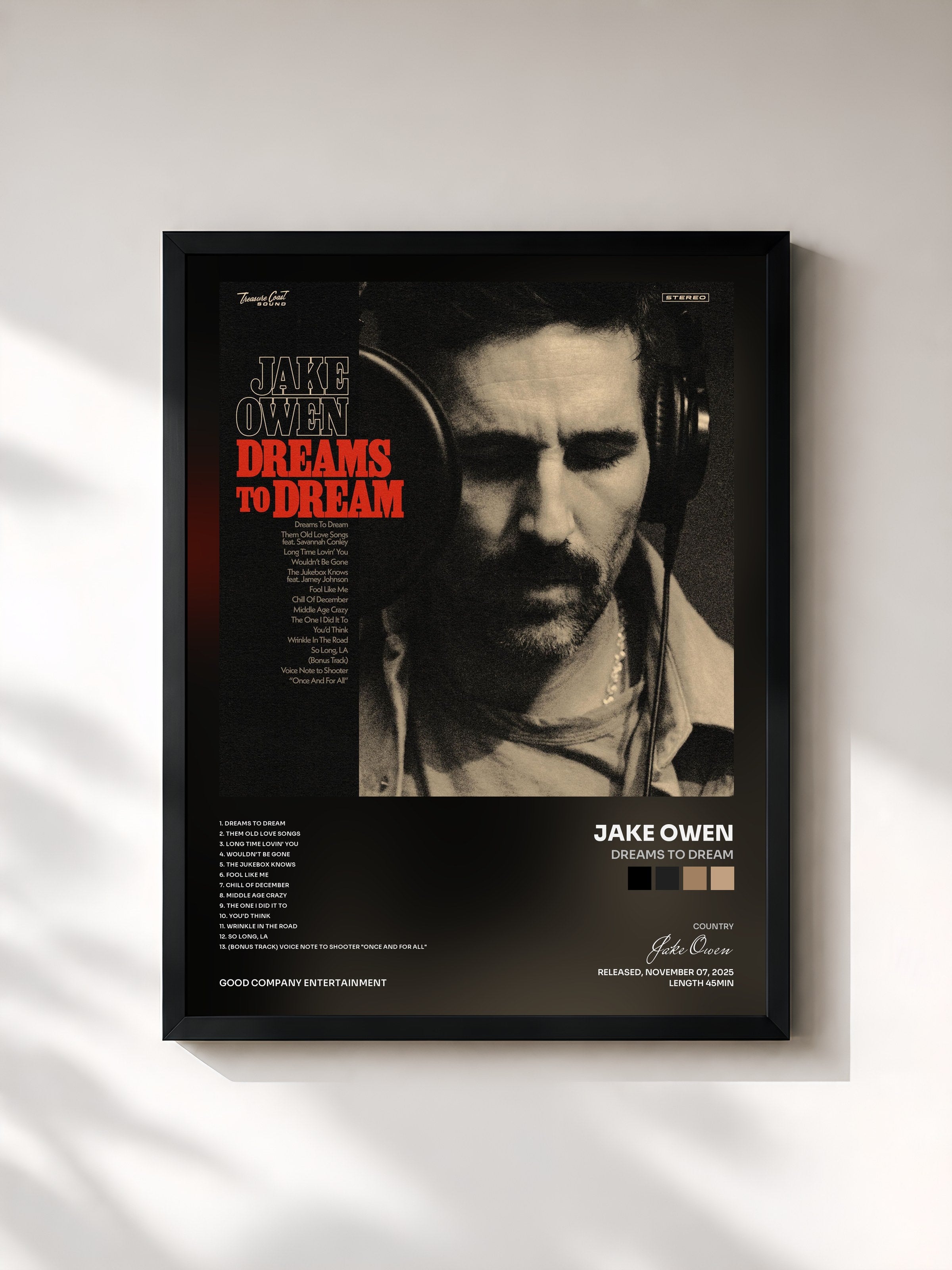 #noir Tableau de l'album Dreams to Dream de Jake Owen, cadre noir, imprimé et encadré en France