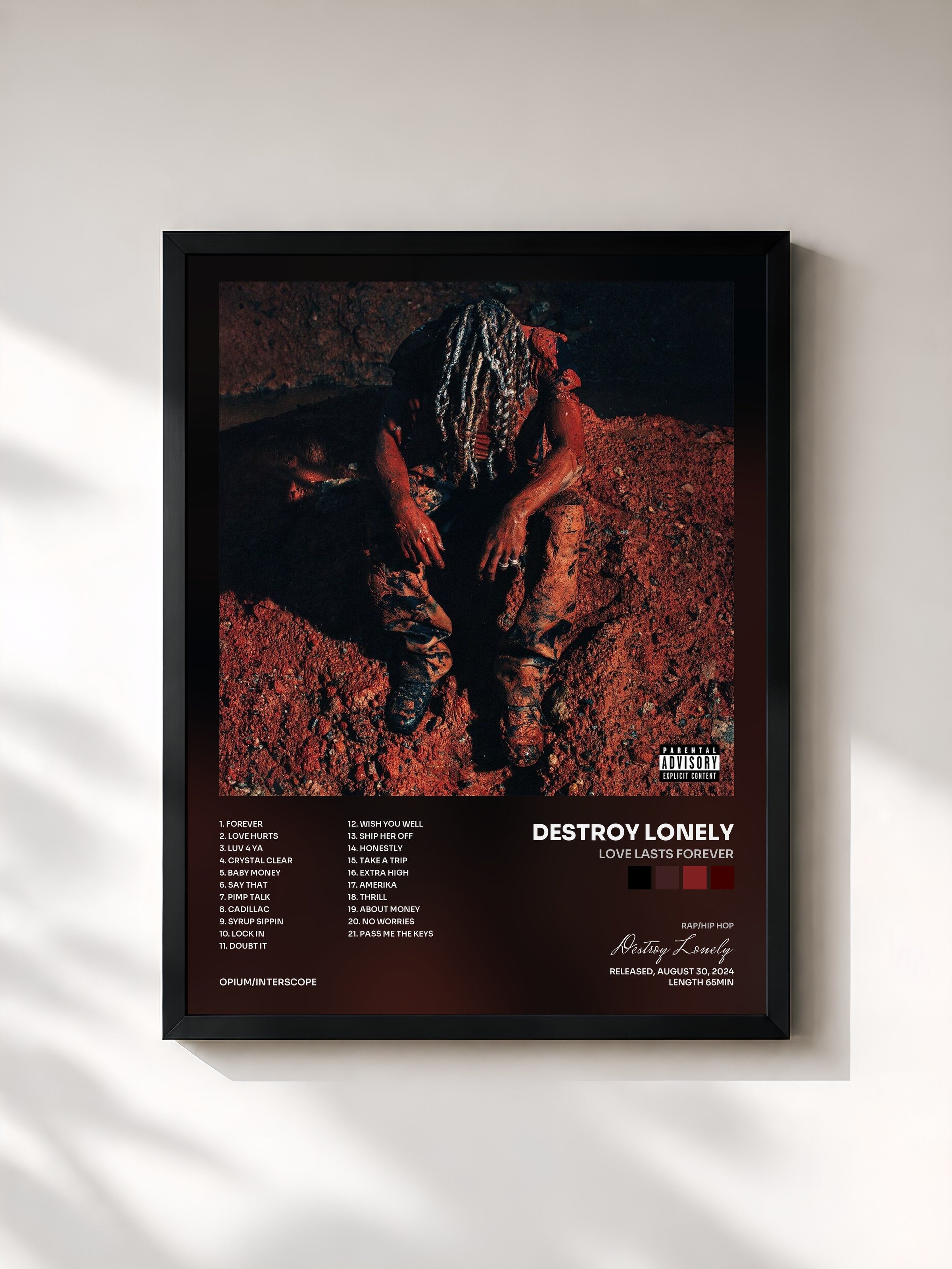 #noir Tableau de l'album LOVE LASTS FOREVER de Destroy Lonely, cadre noir, imprimé et encadré en France