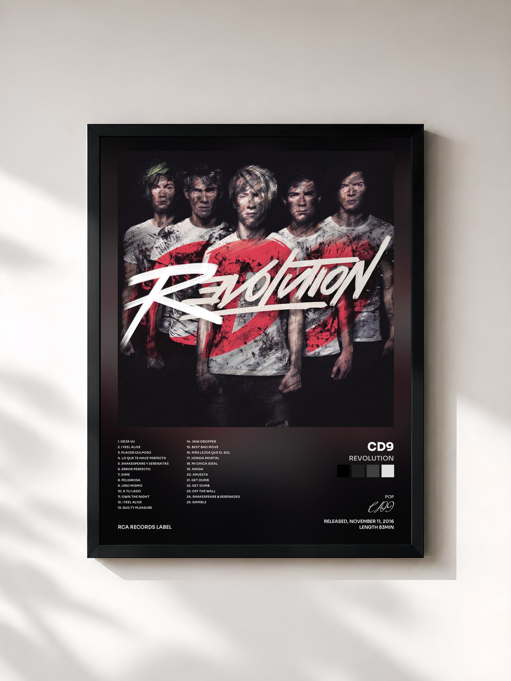 #noir Tableau de l'album Revolution de CD9, cadre noir, imprimé et encadré en France