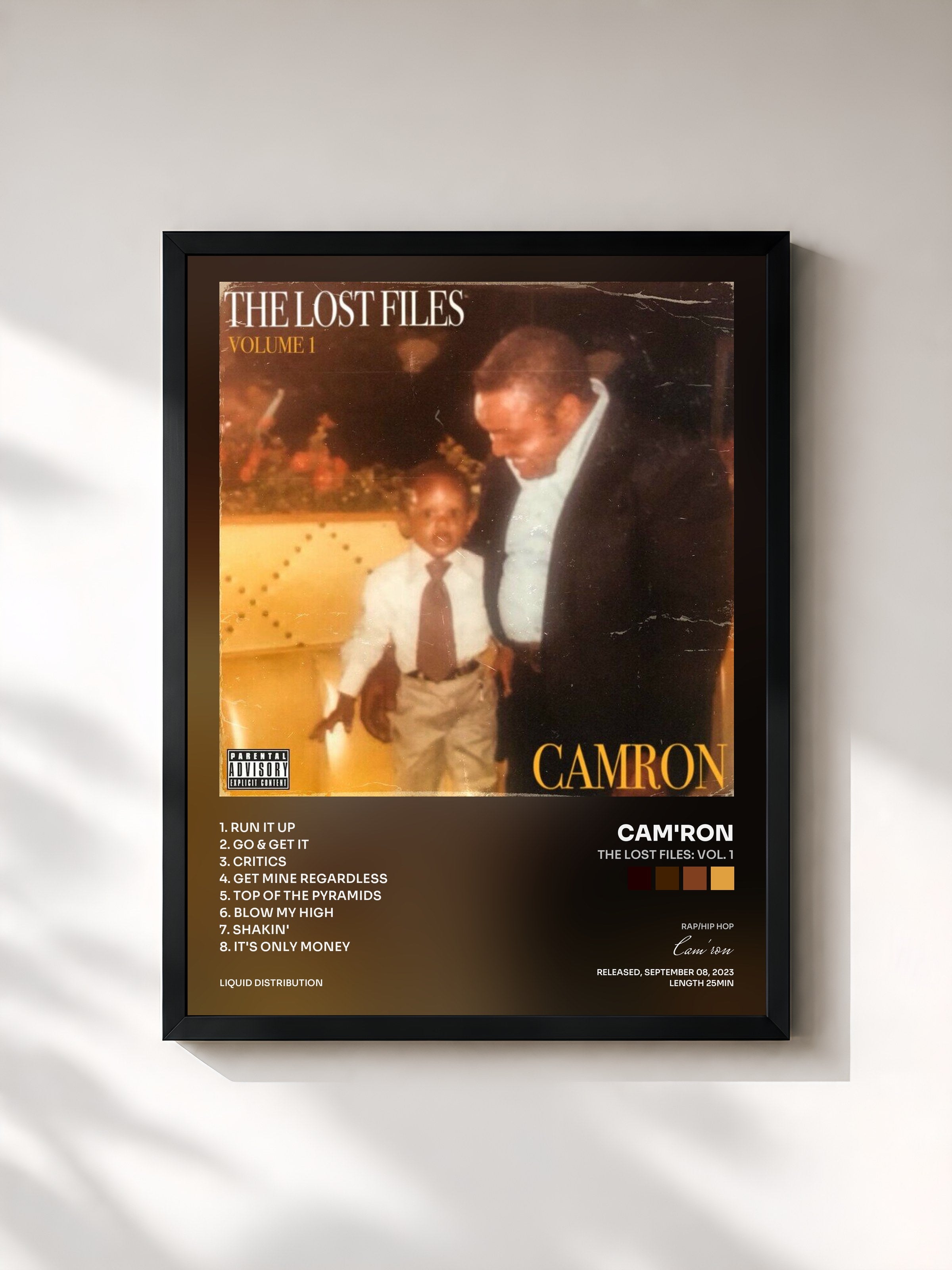 #noir Tableau de l'album The Lost Files: Vol. 1 de Cam'ron, cadre noir, imprimé et encadré en France
