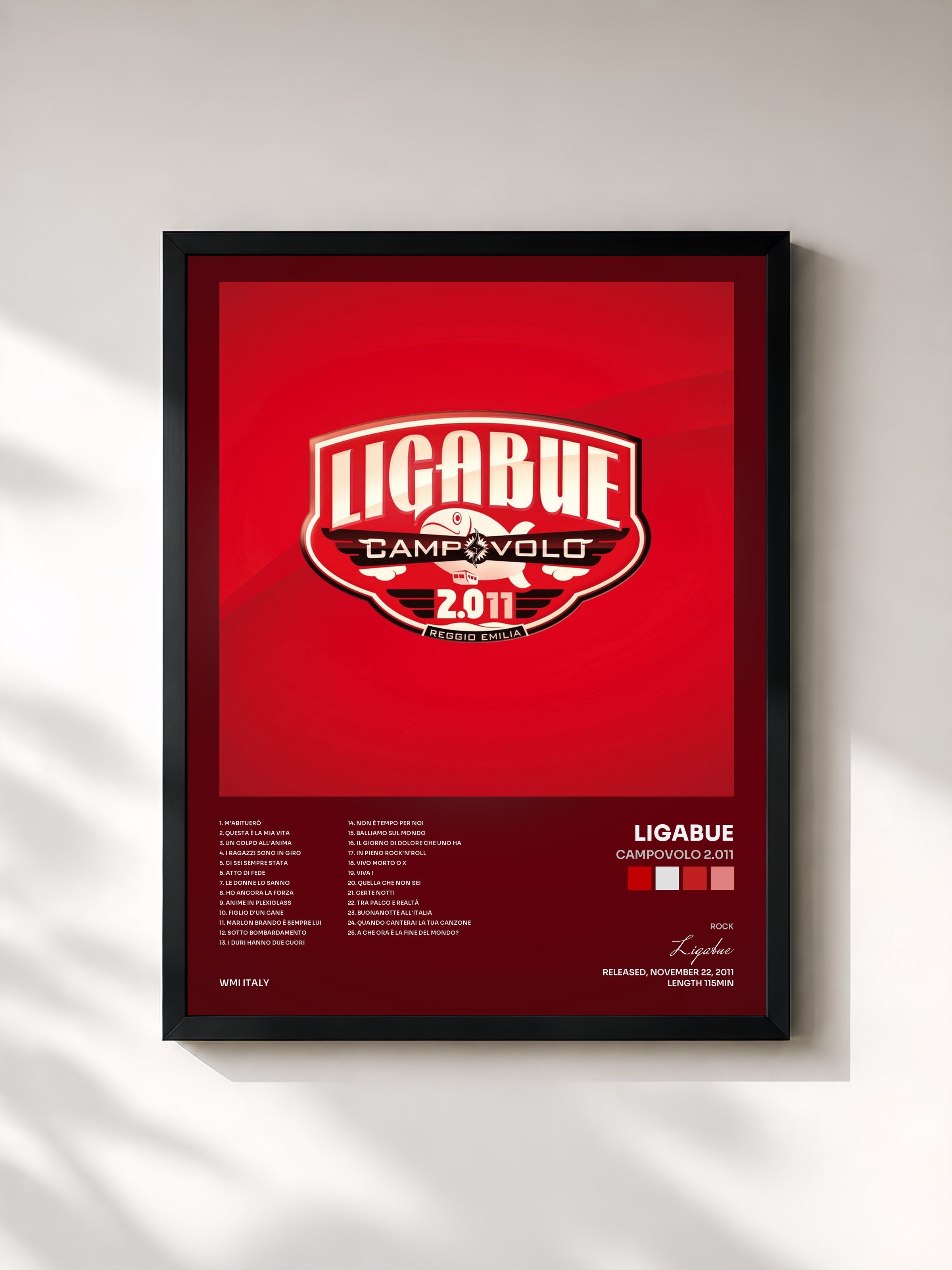 #noir Tableau de l'album Campovolo 2.011 de Ligabue, cadre noir, imprimé et encadré en France