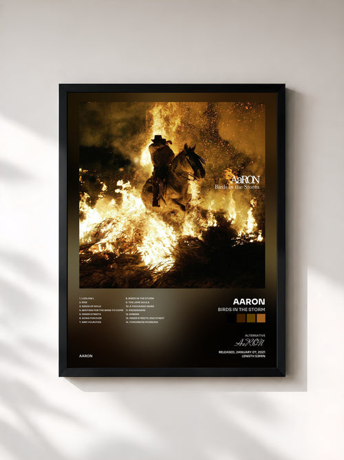 AaRON · Birds in the Storm — Affiche encadrée