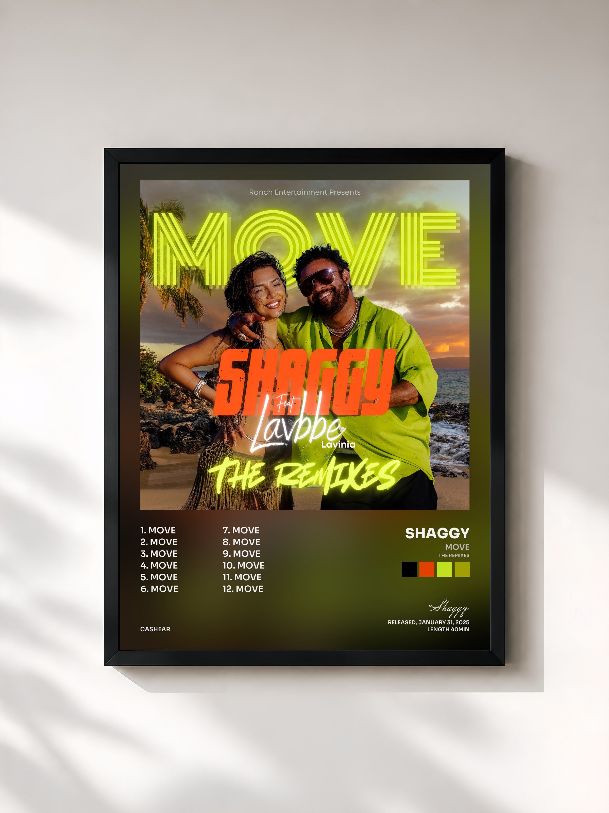 #noir Tableau de l'album MOVE (The Remixes) de Shaggy, cadre noir, imprimé et encadré en France