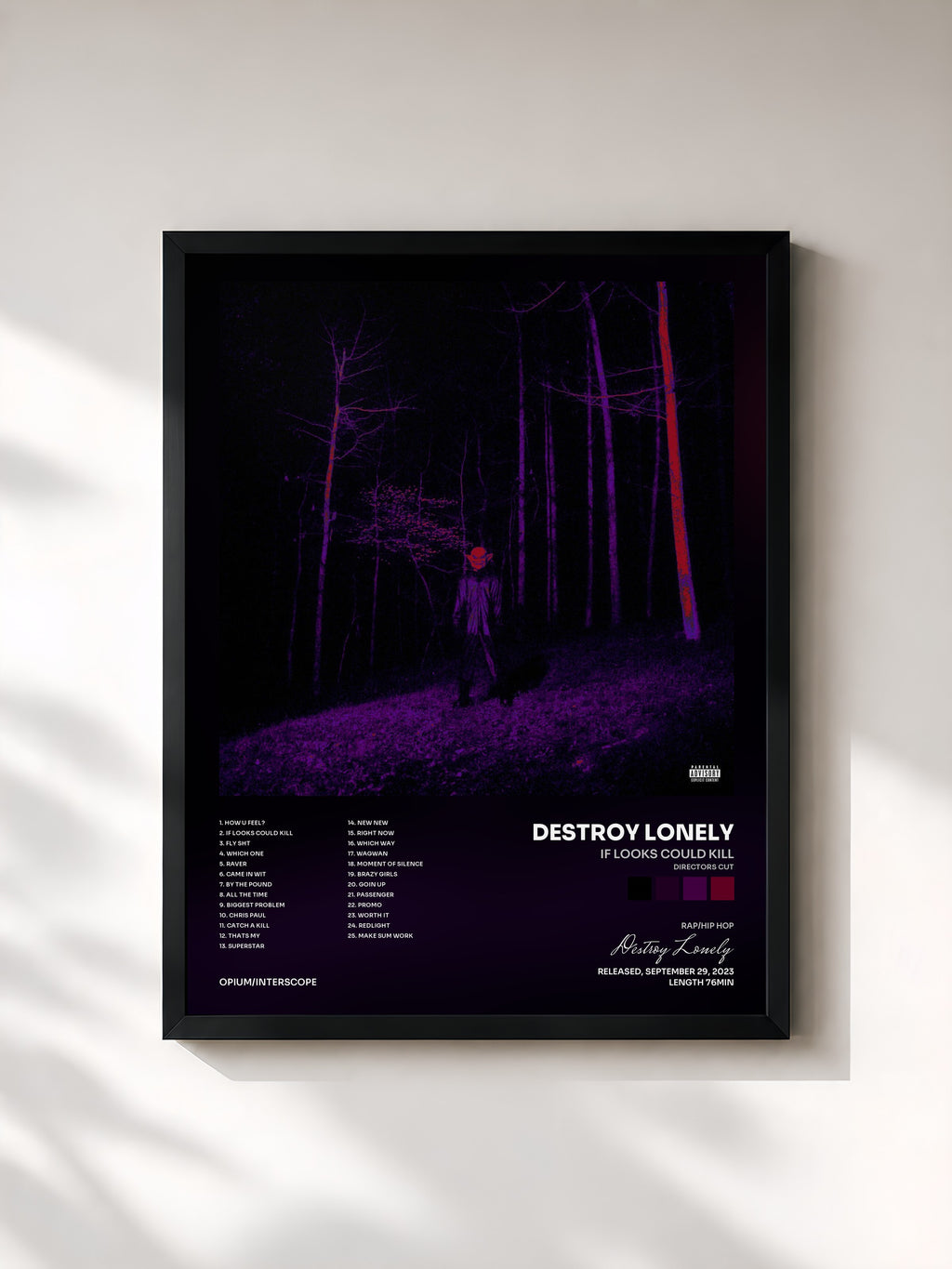 #noir Tableau de l'album If Looks Could Kill (Directors Cut) de Destroy Lonely, cadre noir, imprimé et encadré en France