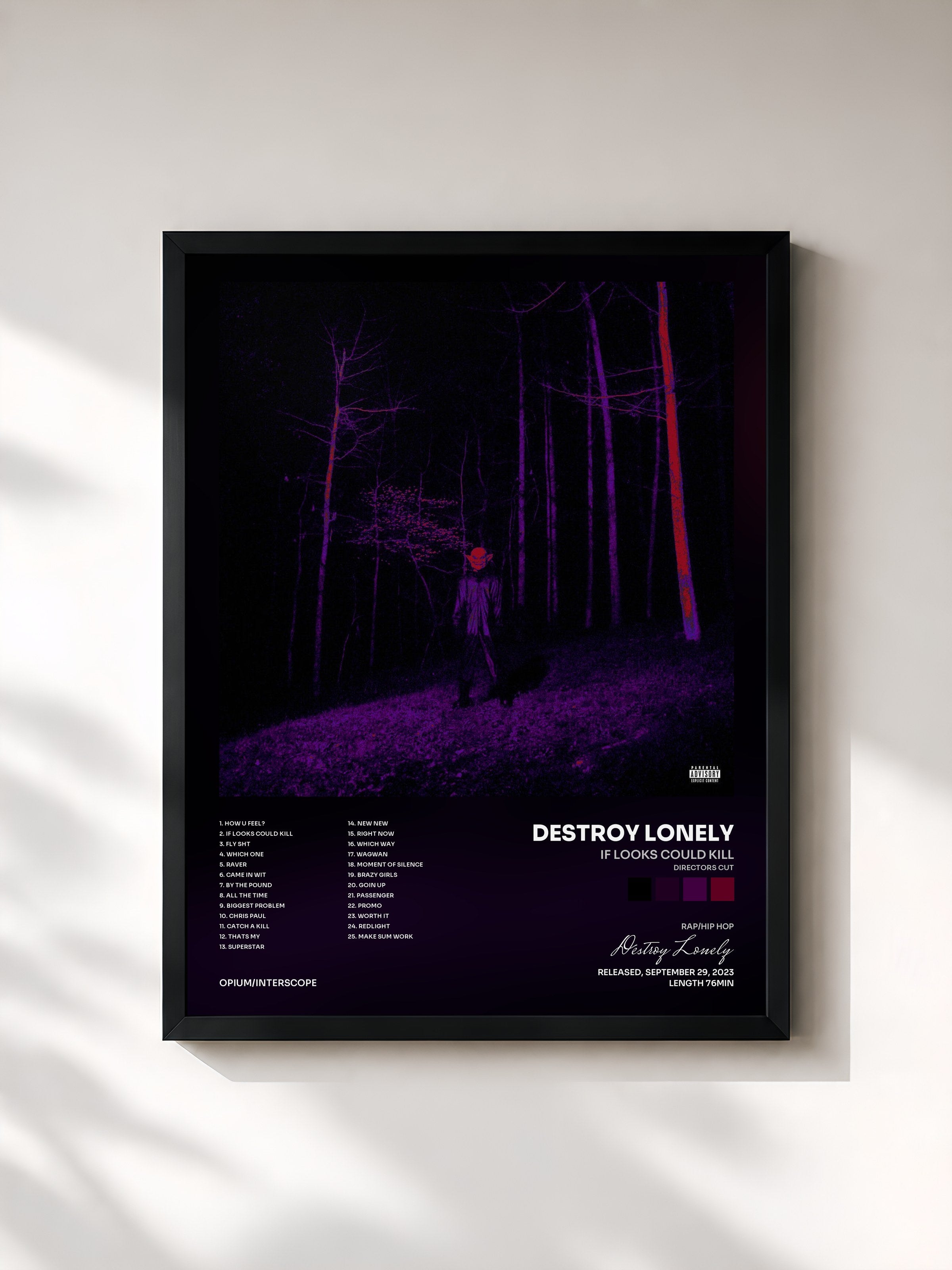 #noir Tableau de l'album If Looks Could Kill (Directors Cut) de Destroy Lonely, cadre noir, imprimé et encadré en France