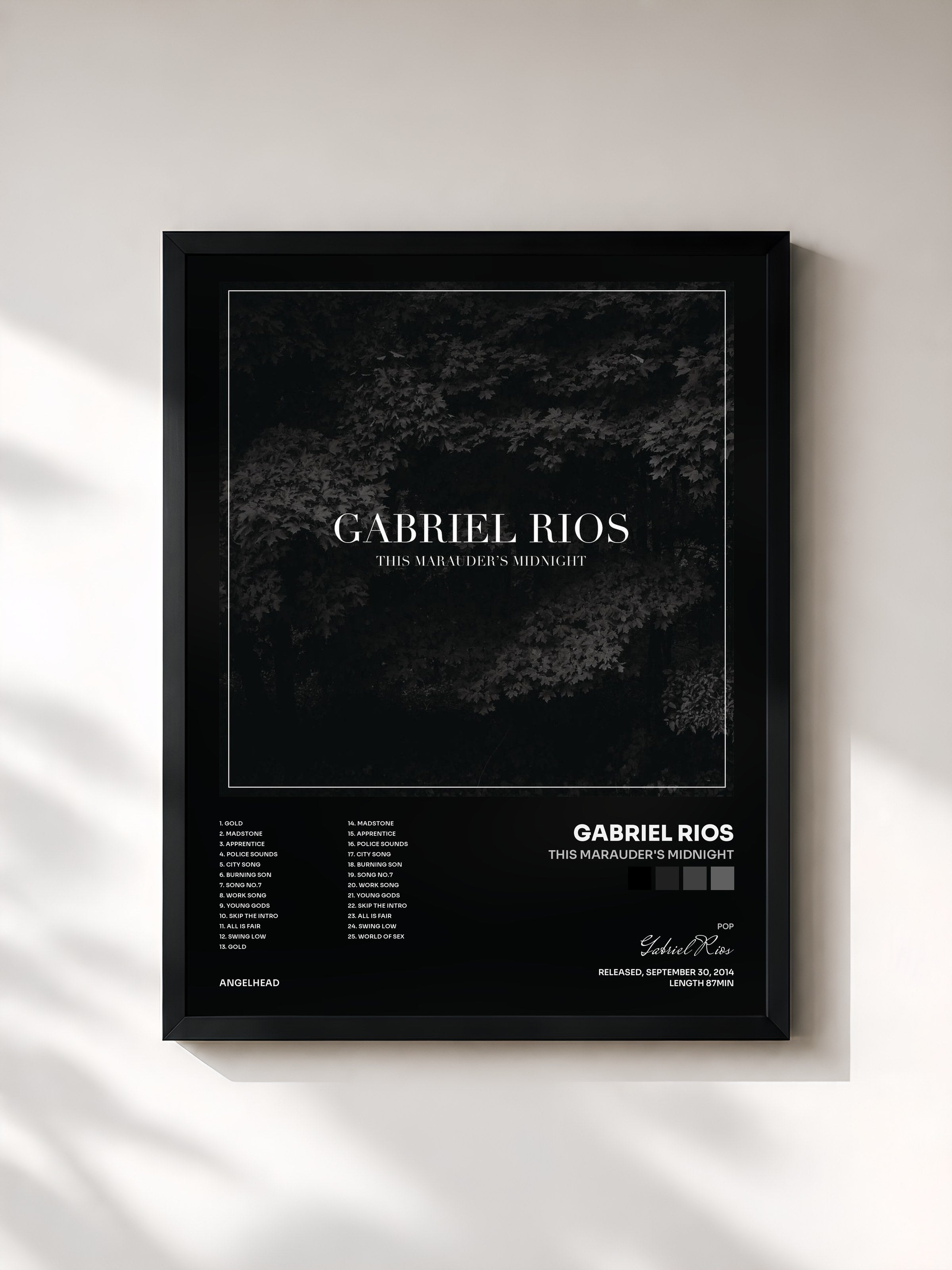 #noir Tableau de l'album This Marauder's Midnight de Gabriel Rios, cadre noir, imprimé et encadré en France