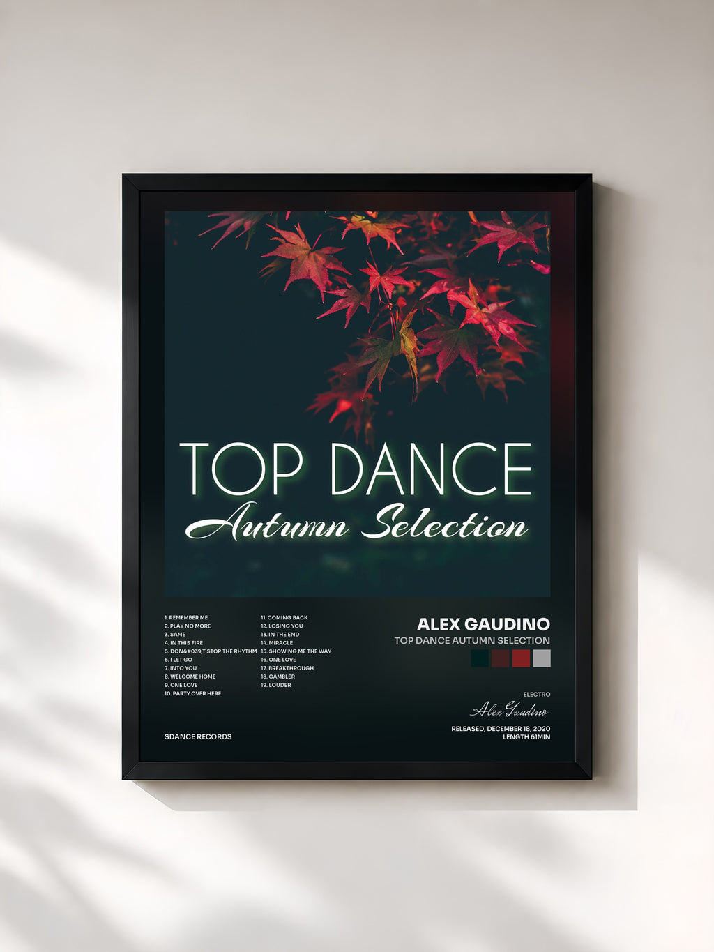 #noir Tableau de l'album Top Dance Autumn Selection de Alex Gaudino, cadre noir, imprimé et encadré en France
