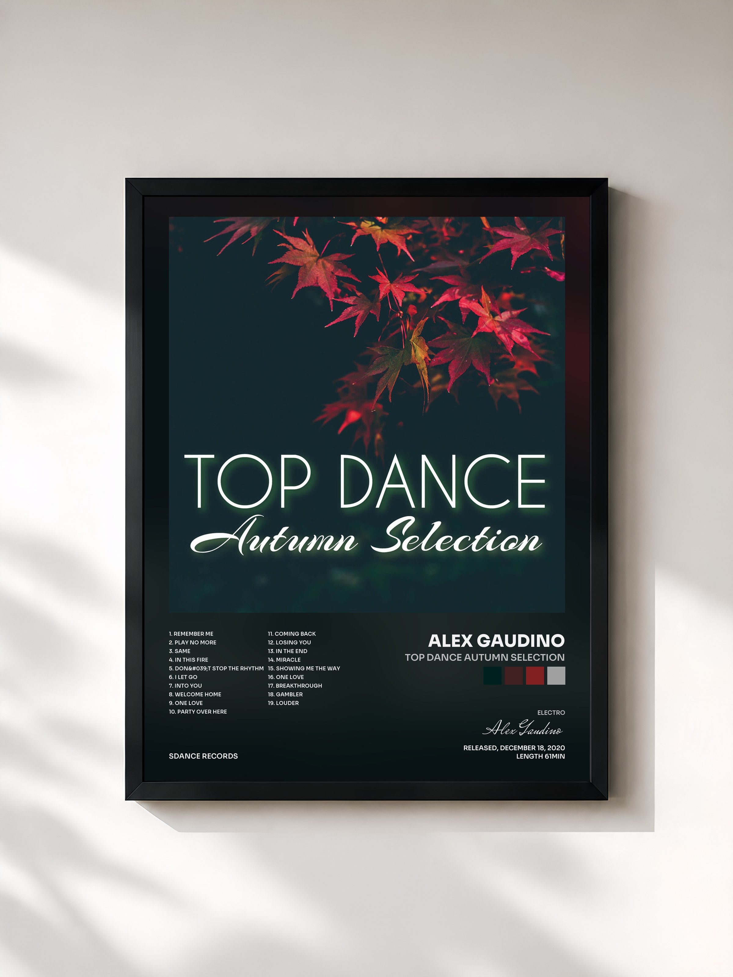 #noir Tableau de l'album Top Dance Autumn Selection de Alex Gaudino, cadre noir, imprimé et encadré en France