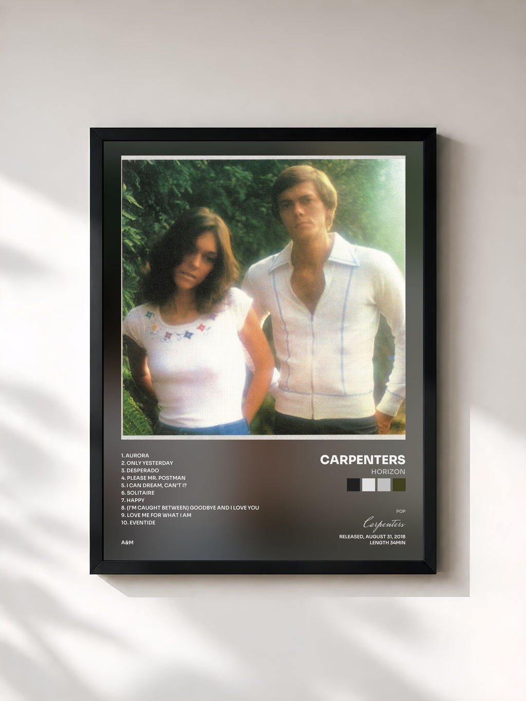 #noir Tableau de l'album Horizon de Carpenters, cadre noir, imprimé et encadré en France