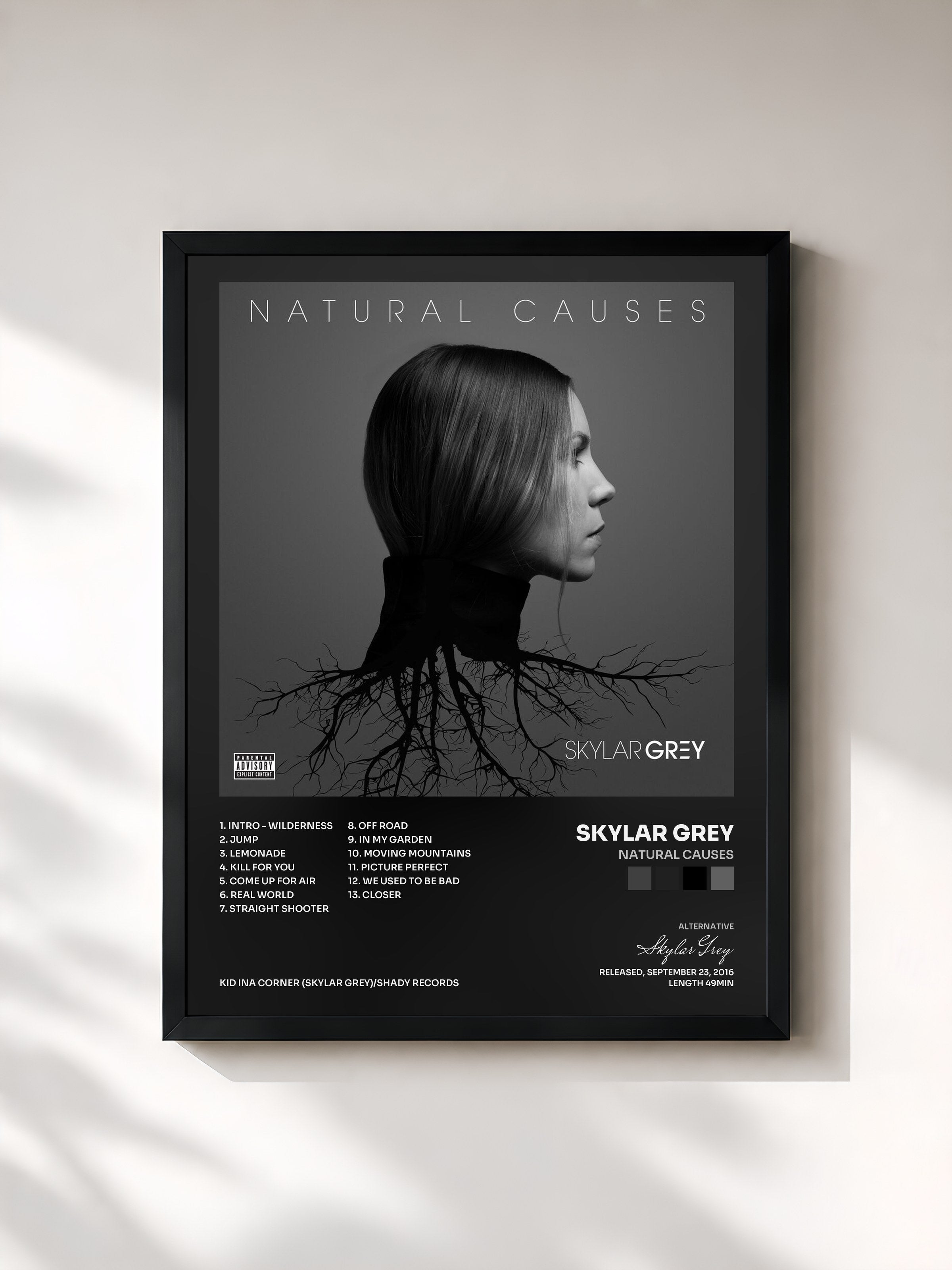 #noir Tableau de l'album Natural Causes de Skylar Grey, cadre noir, imprimé et encadré en France