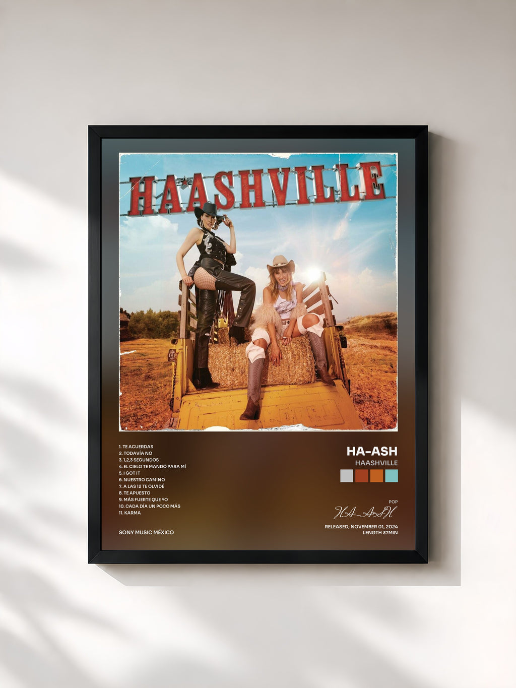 #noir Tableau de l'album HAASHVILLE de HA-ASH, cadre noir, imprimé et encadré en France