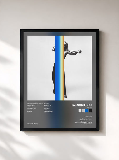 Sylvan Esso · Ow ∞ — Affiche encadrée