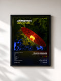 #noir Tableau de l'album Late Night Tales: Ólafur Arnalds de Ólafur Arnalds, cadre noir, imprimé et encadré en France