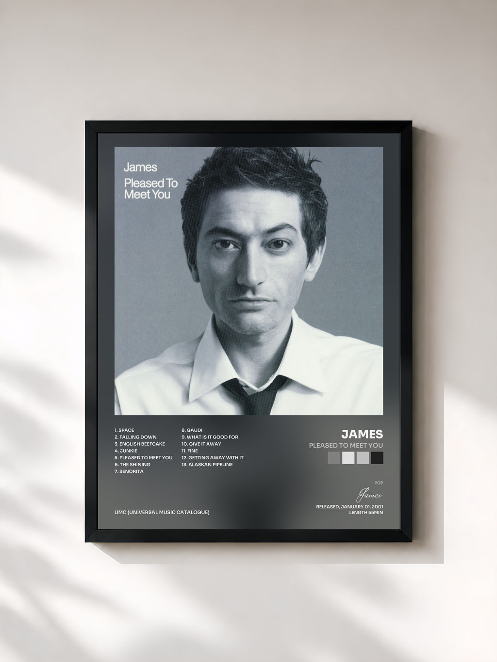 #noir Tableau de l'album Pleased To Meet You de James, cadre noir, imprimé et encadré en France