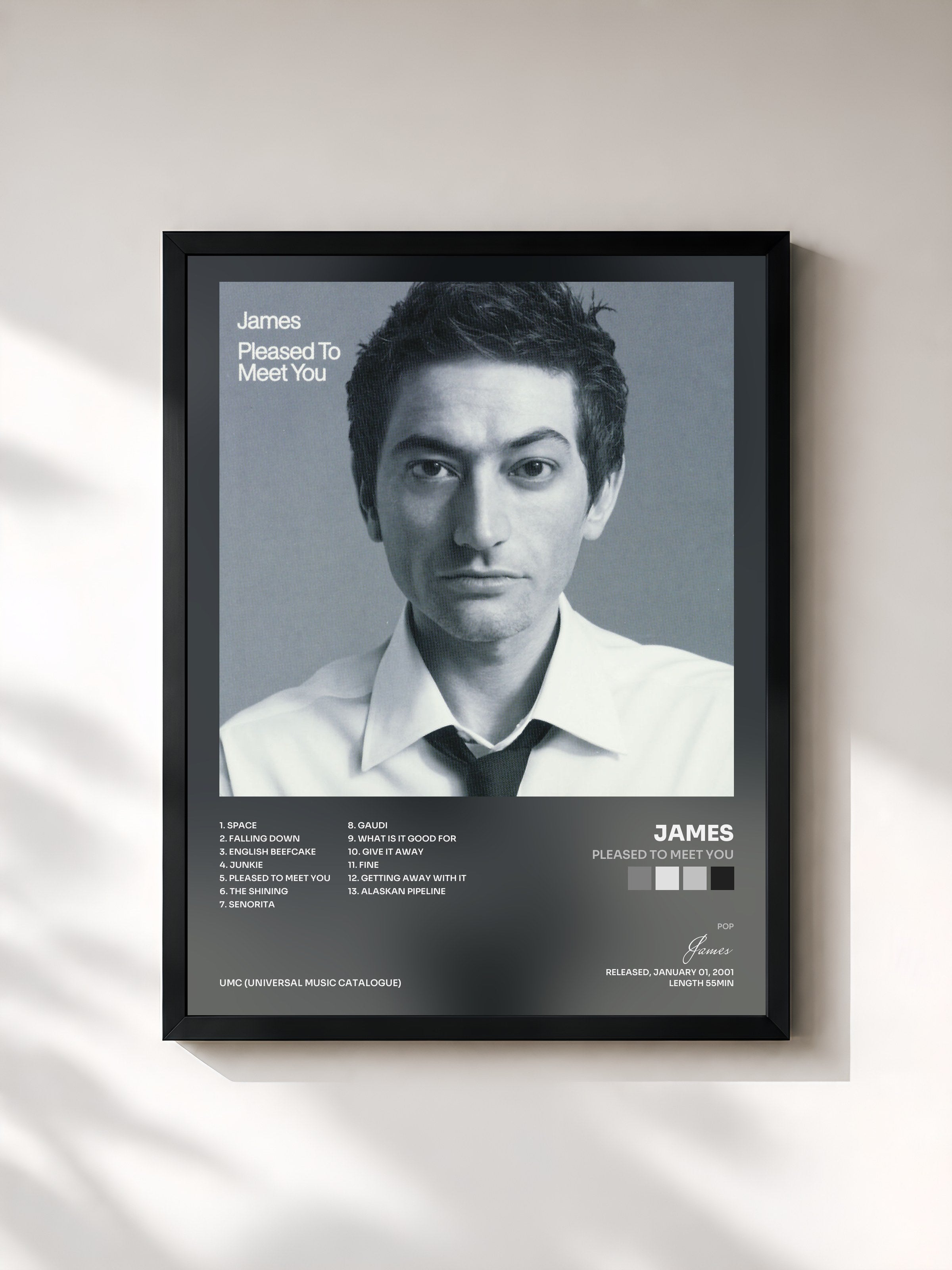 #noir Tableau de l'album Pleased To Meet You de James, cadre noir, imprimé et encadré en France
