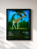 #noir Tableau de l'album Soft Animals EP de Sofi Tukker, cadre noir, imprimé et encadré en France