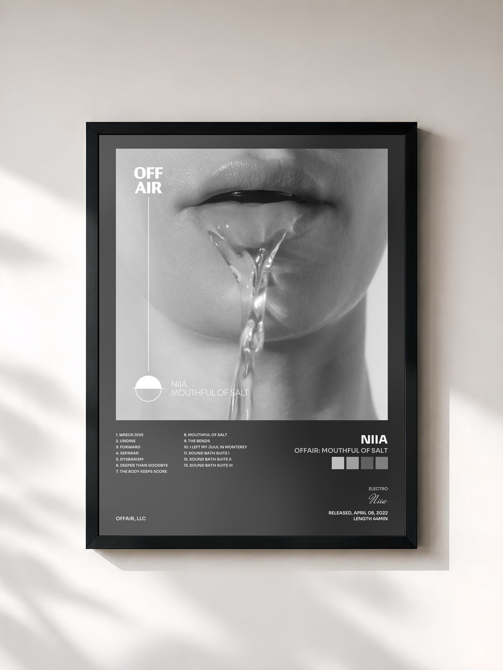 #noir Tableau de l'album OFFAIR: Mouthful of Salt de Niia, cadre noir, imprimé et encadré en France