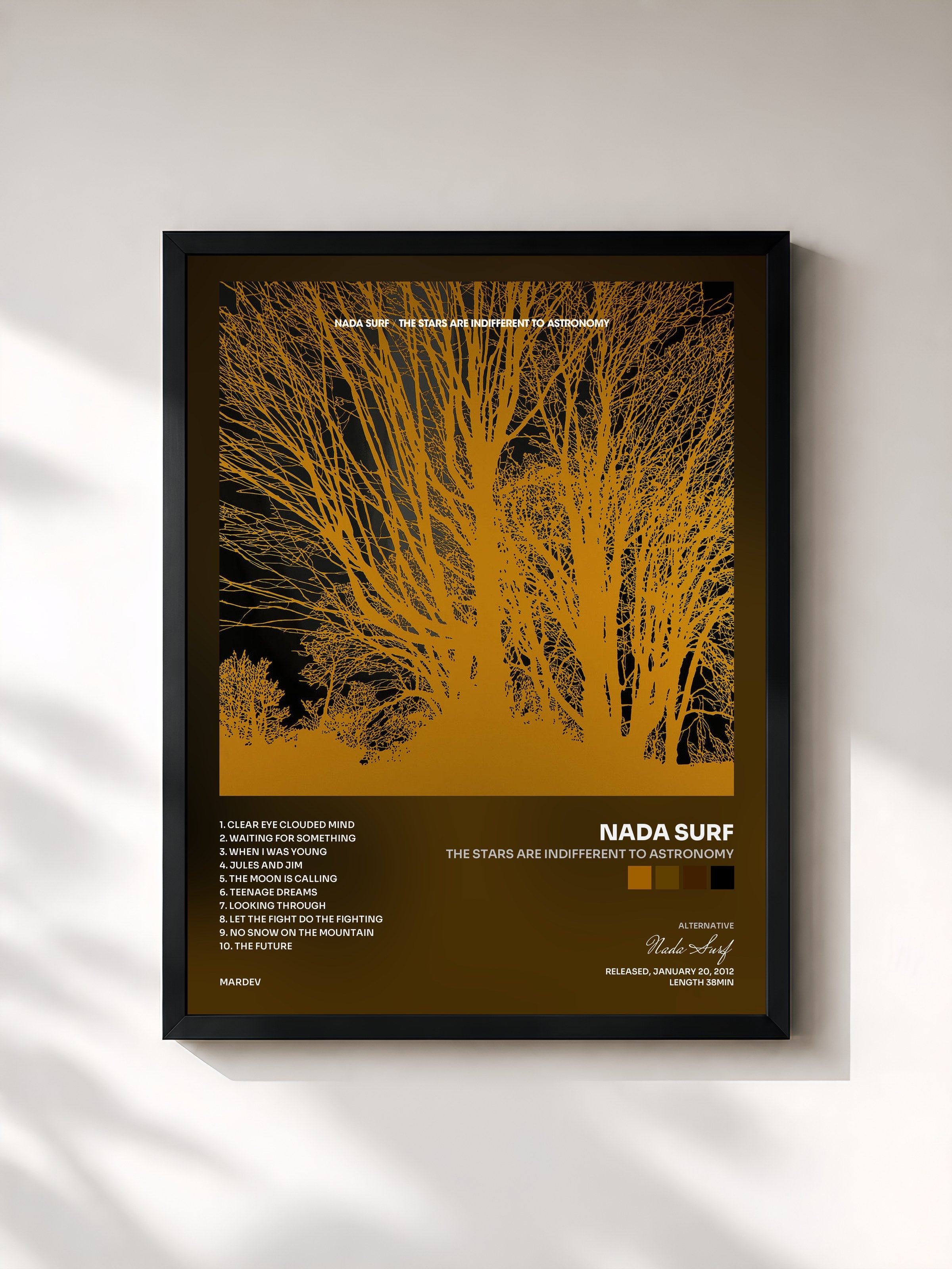 #noir Tableau de l'album The Stars Are Indifferent to Astronomy de Nada Surf, cadre noir, imprimé et encadré en France