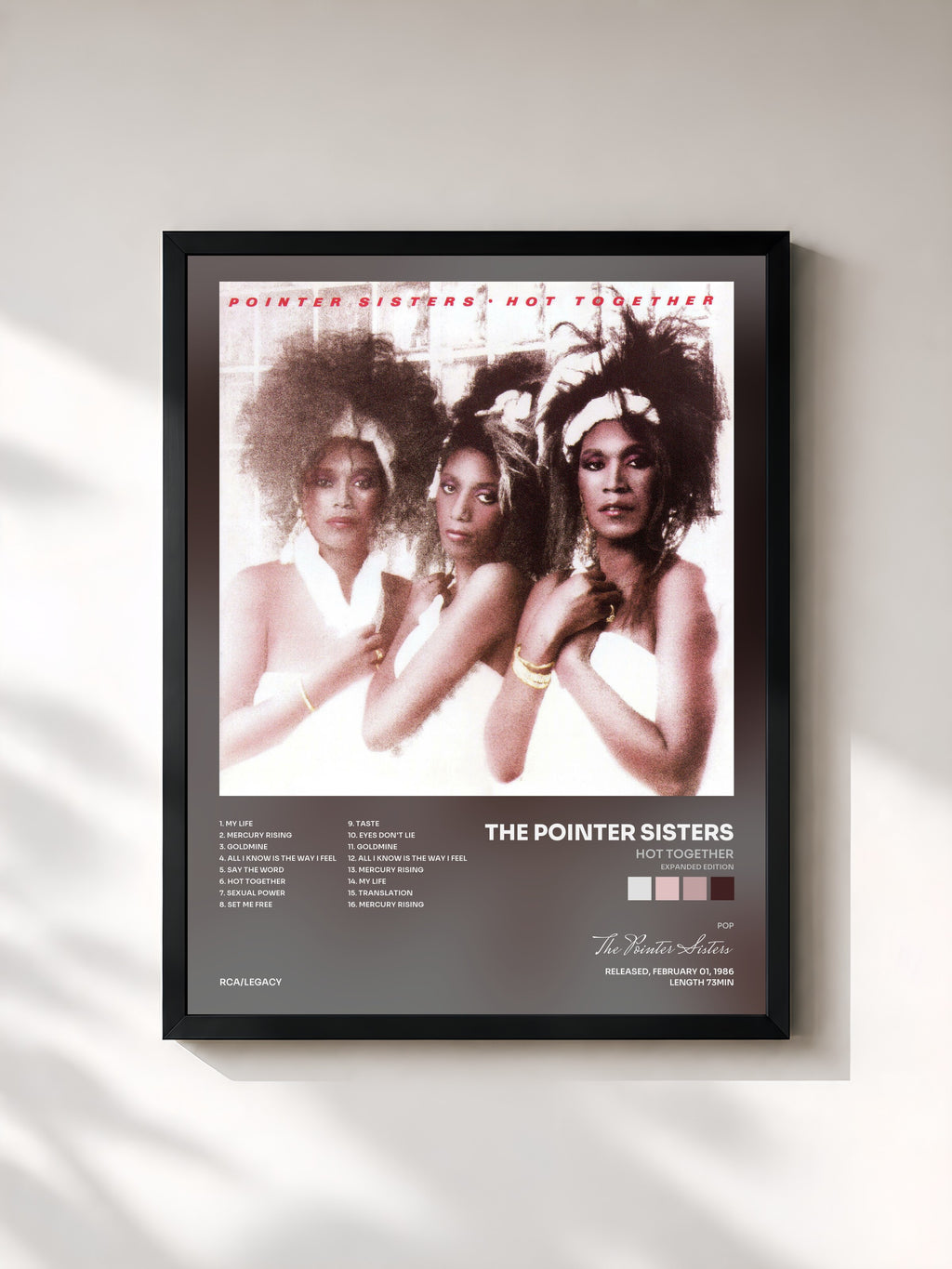 #noir Tableau de l'album Hot Together (Expanded Edition) de The Pointer Sisters, cadre noir, imprimé et encadré en France