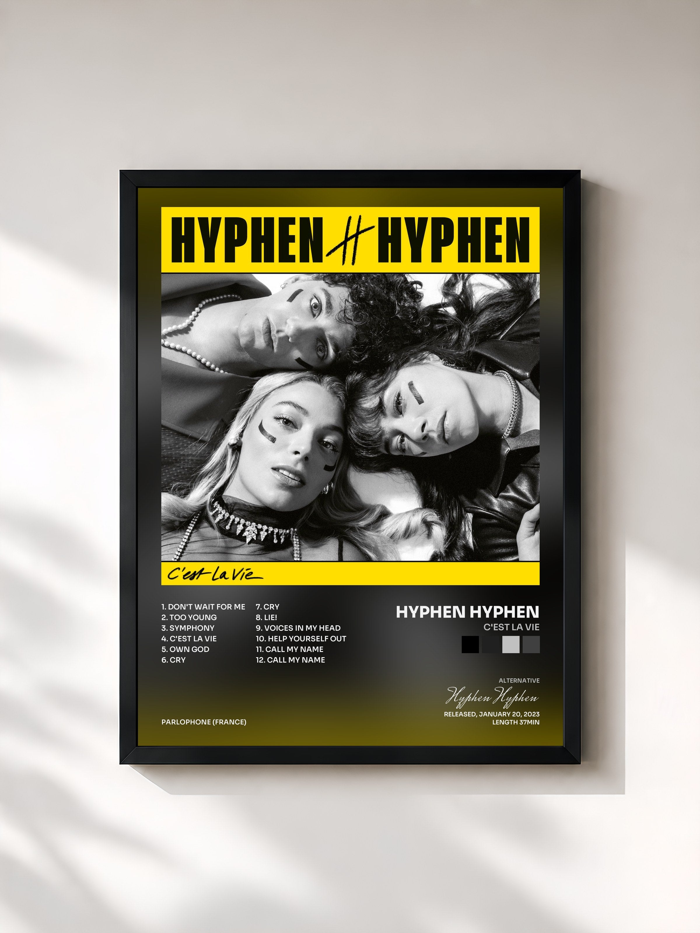 #noir Tableau de l'album C'est La vie de Hyphen Hyphen, cadre noir, imprimé et encadré en France