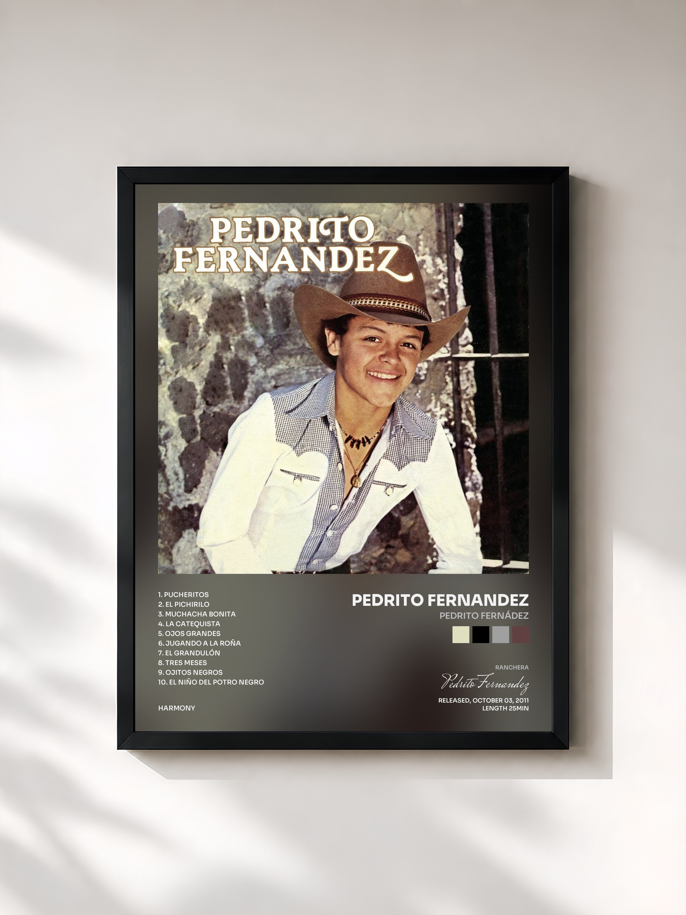 #noir Tableau de l'album Pedrito Fernádez de Pedrito Fernandez, cadre noir, imprimé et encadré en France