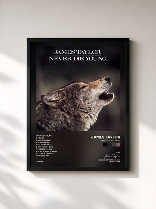 James Taylor · Never Die Young — Affiche encadrée