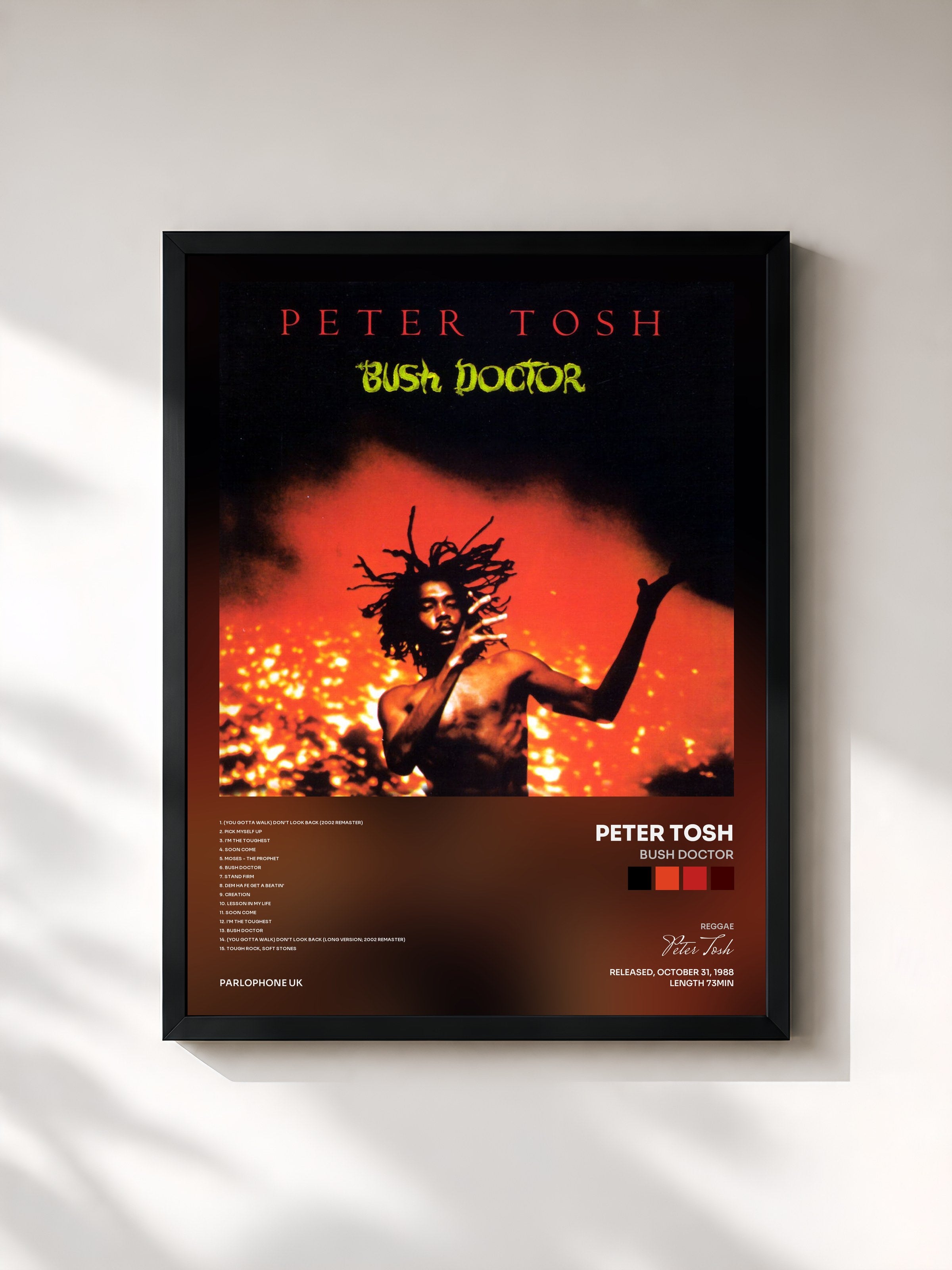 #noir Tableau de l'album Bush Doctor de Peter Tosh, cadre noir, imprimé et encadré en France