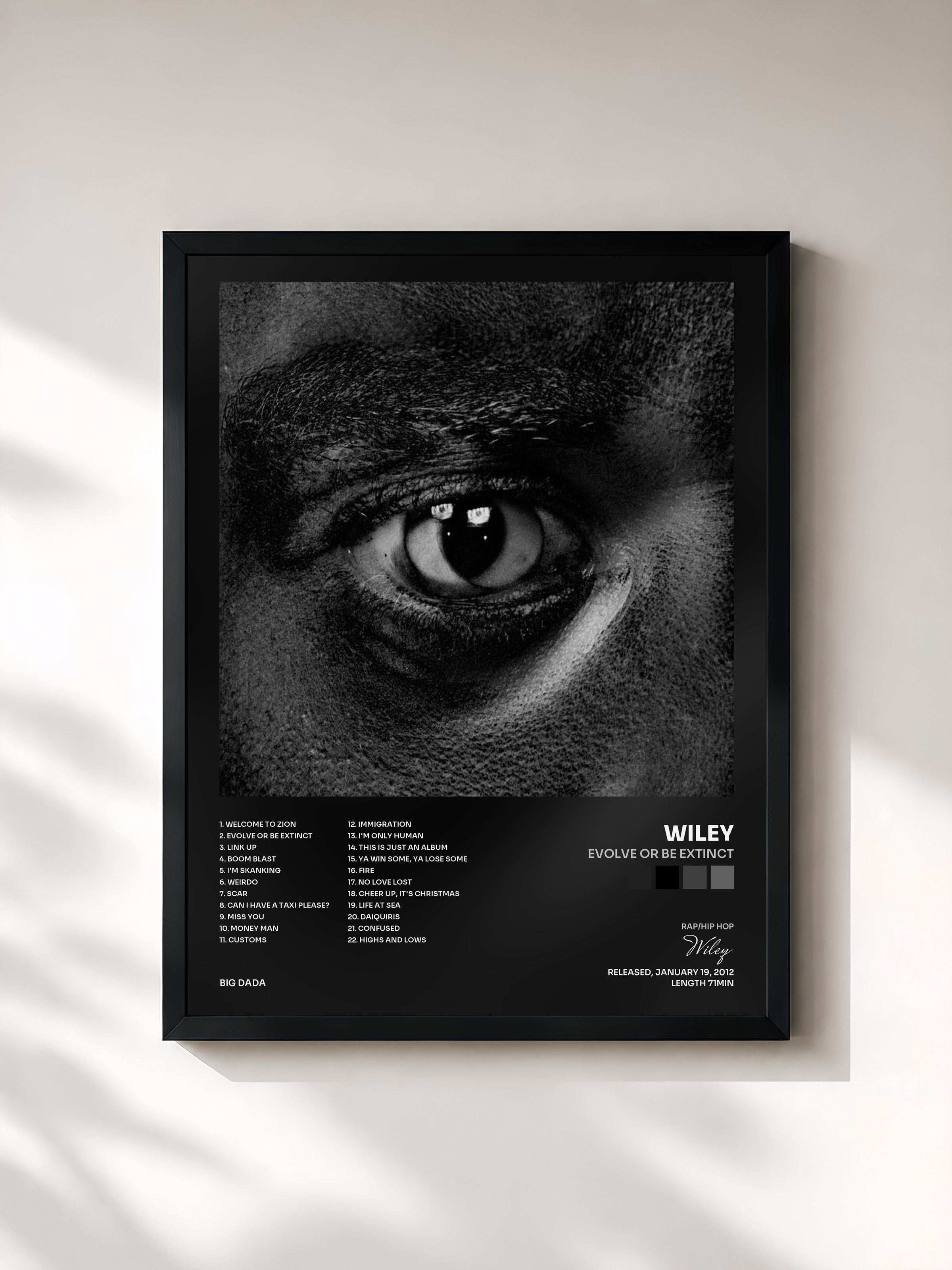 #noir Tableau de l'album Evolve Or Be Extinct de Wiley, cadre noir, imprimé et encadré en France