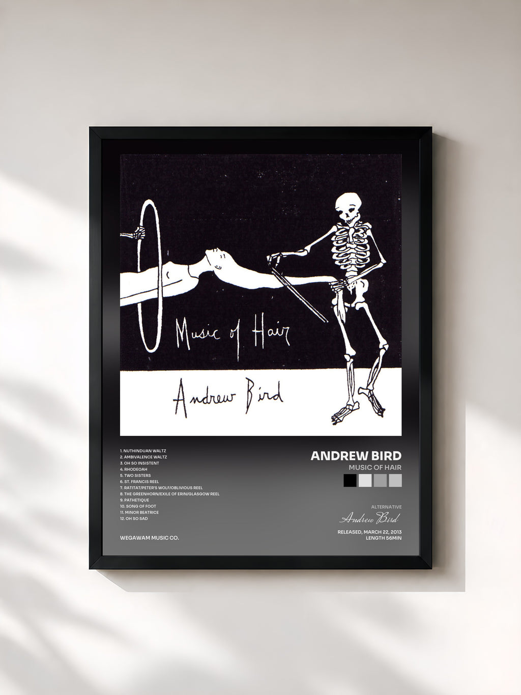 #noir Tableau de l'album Music of Hair de Andrew Bird, cadre noir, imprimé et encadré en France