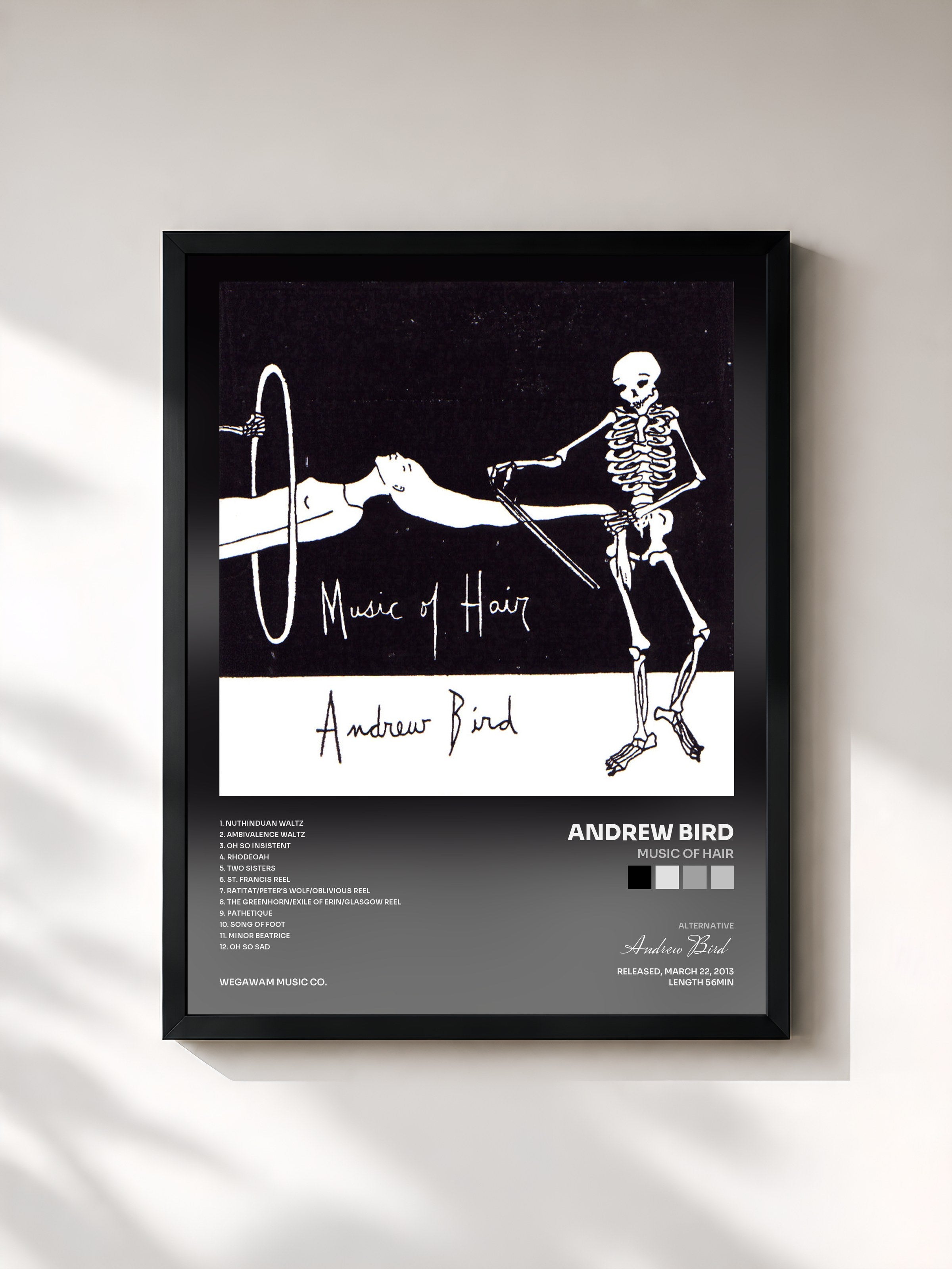#noir Tableau de l'album Music of Hair de Andrew Bird, cadre noir, imprimé et encadré en France