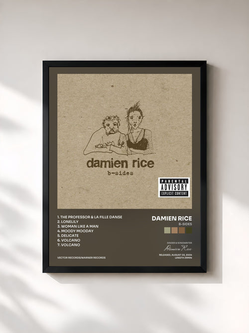 Damien Rice · B-Sides — Affiche encadrée